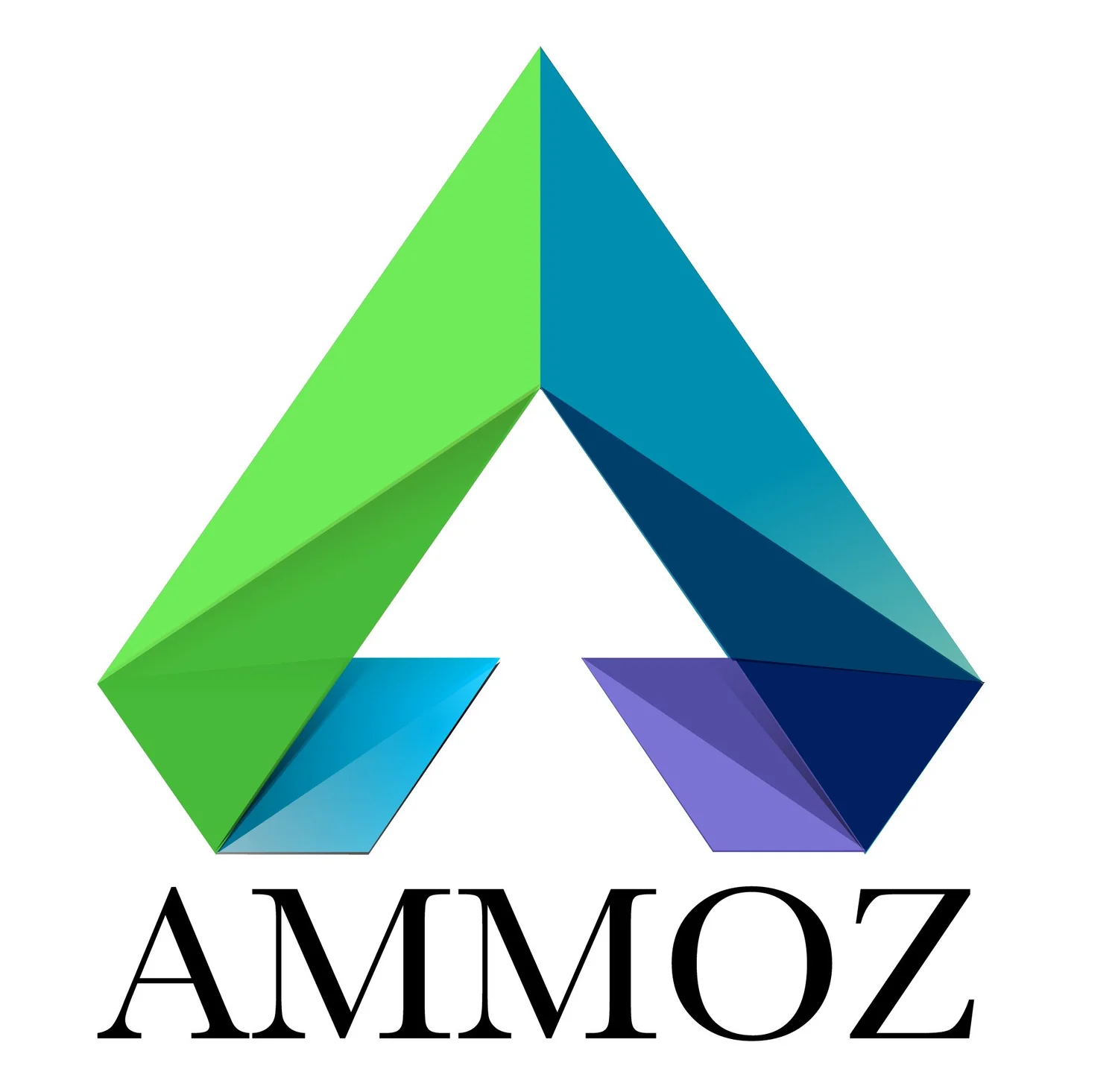 Ammoz Ltd