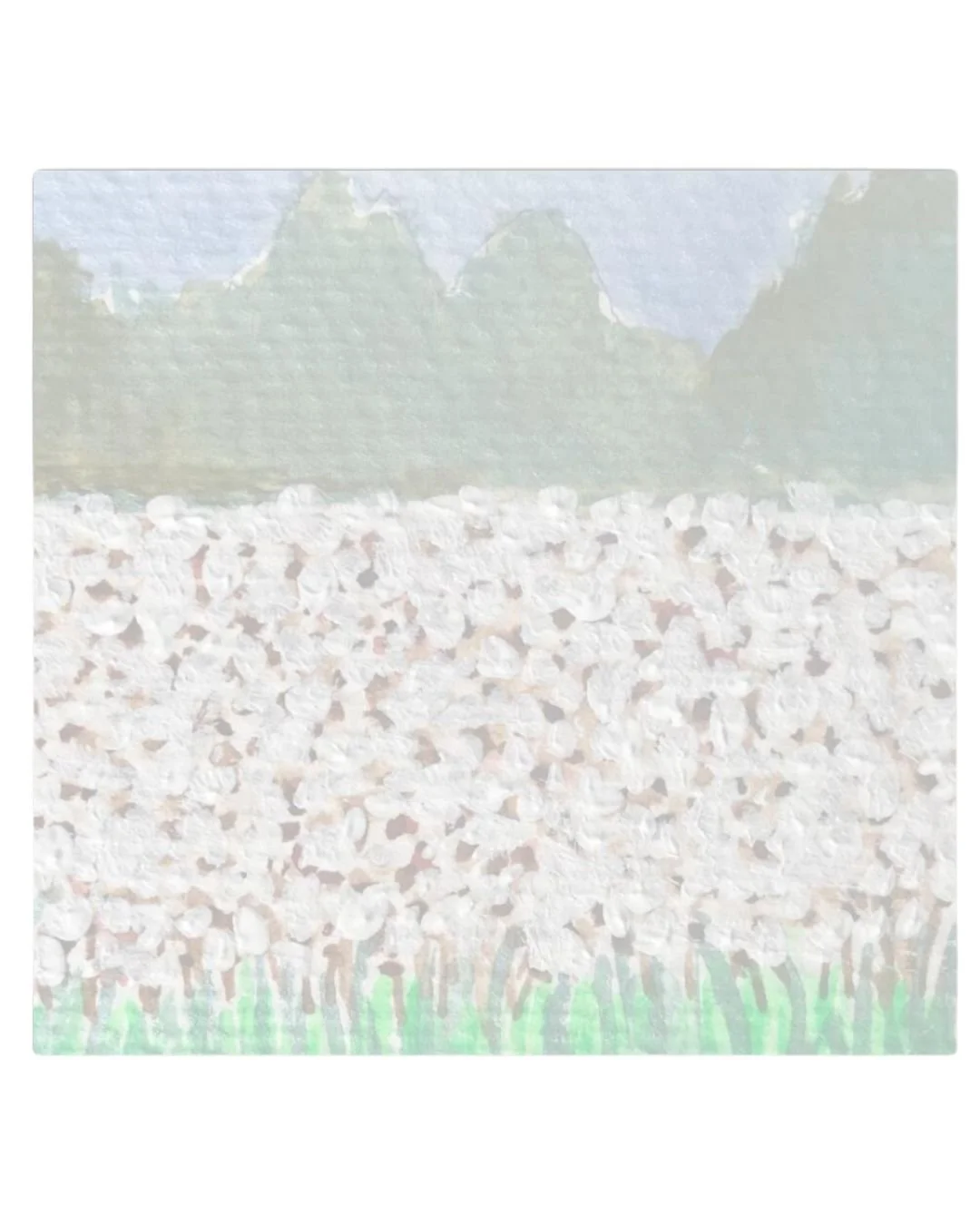 SN-Cotton | Wholesale: $2.50 ; MSRP: $5 | Case Size: 5