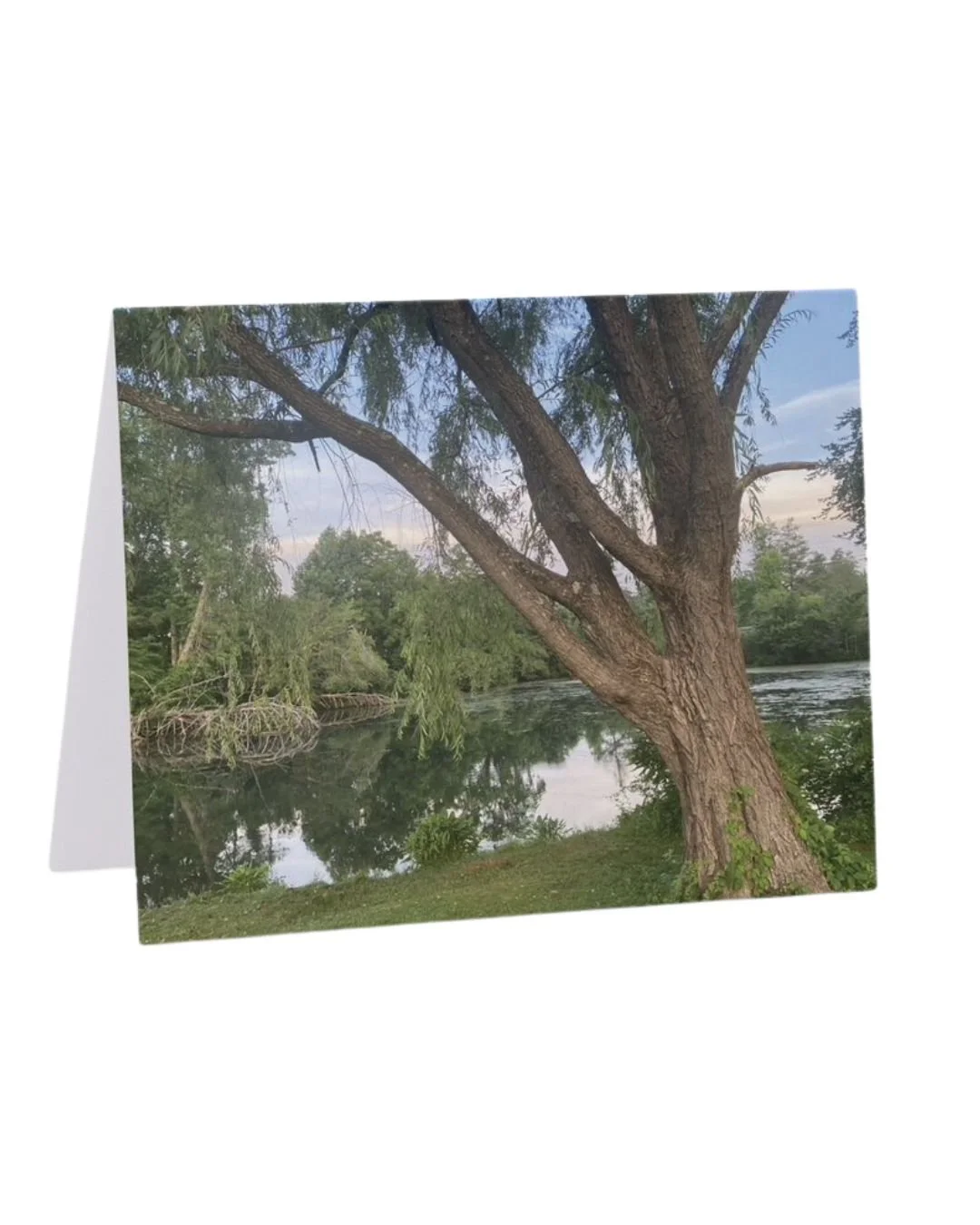 **NC-SkyFour | 4.21" x 5.47" | Wholesale: $2.75; MSRP: $5.50 | Case Size: 6 per design