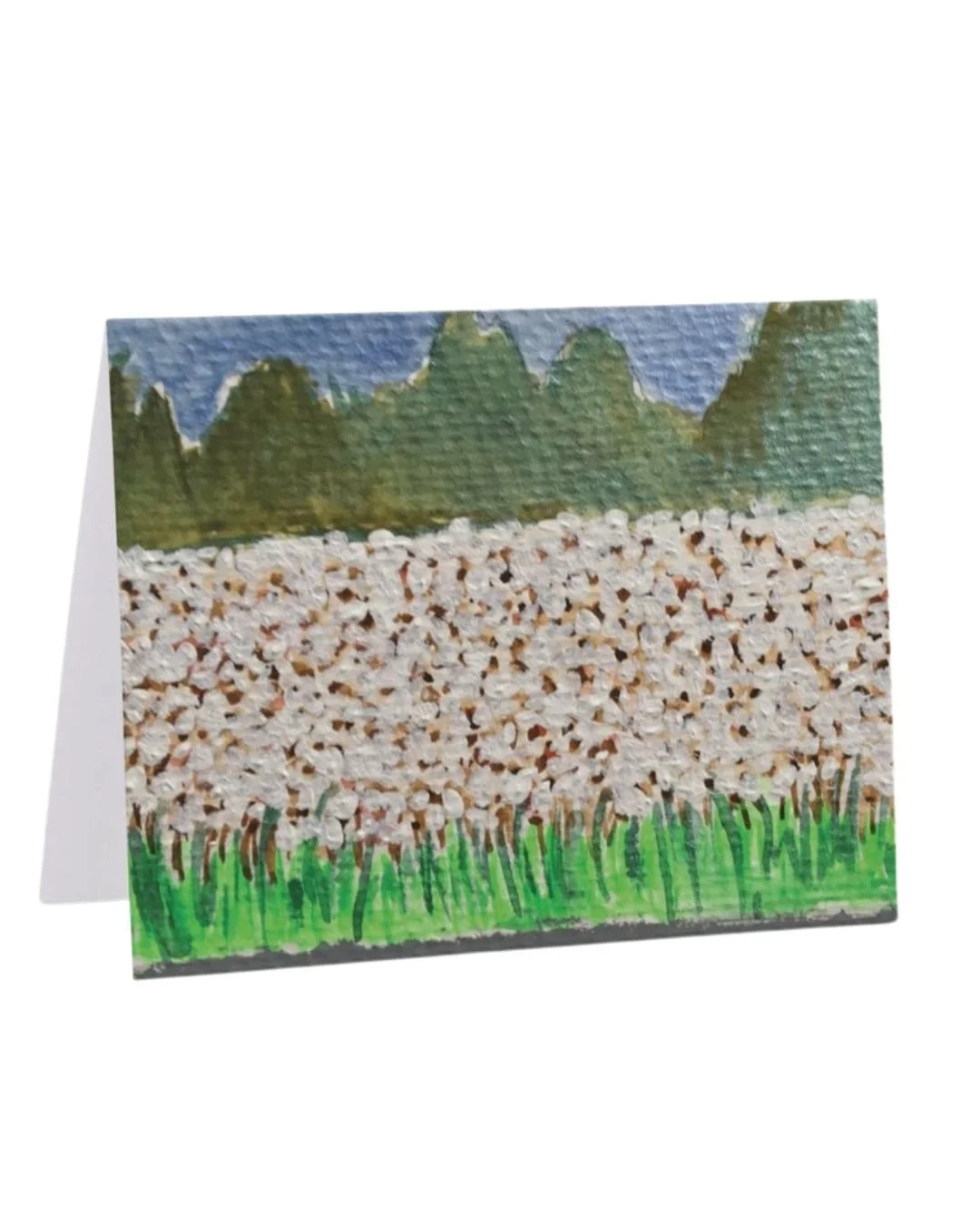 **NC-CottonSeven | 4.21" x 5.47" | Wholesale: $2.75; MSRP: $5.50  | Case Size: 6 per design