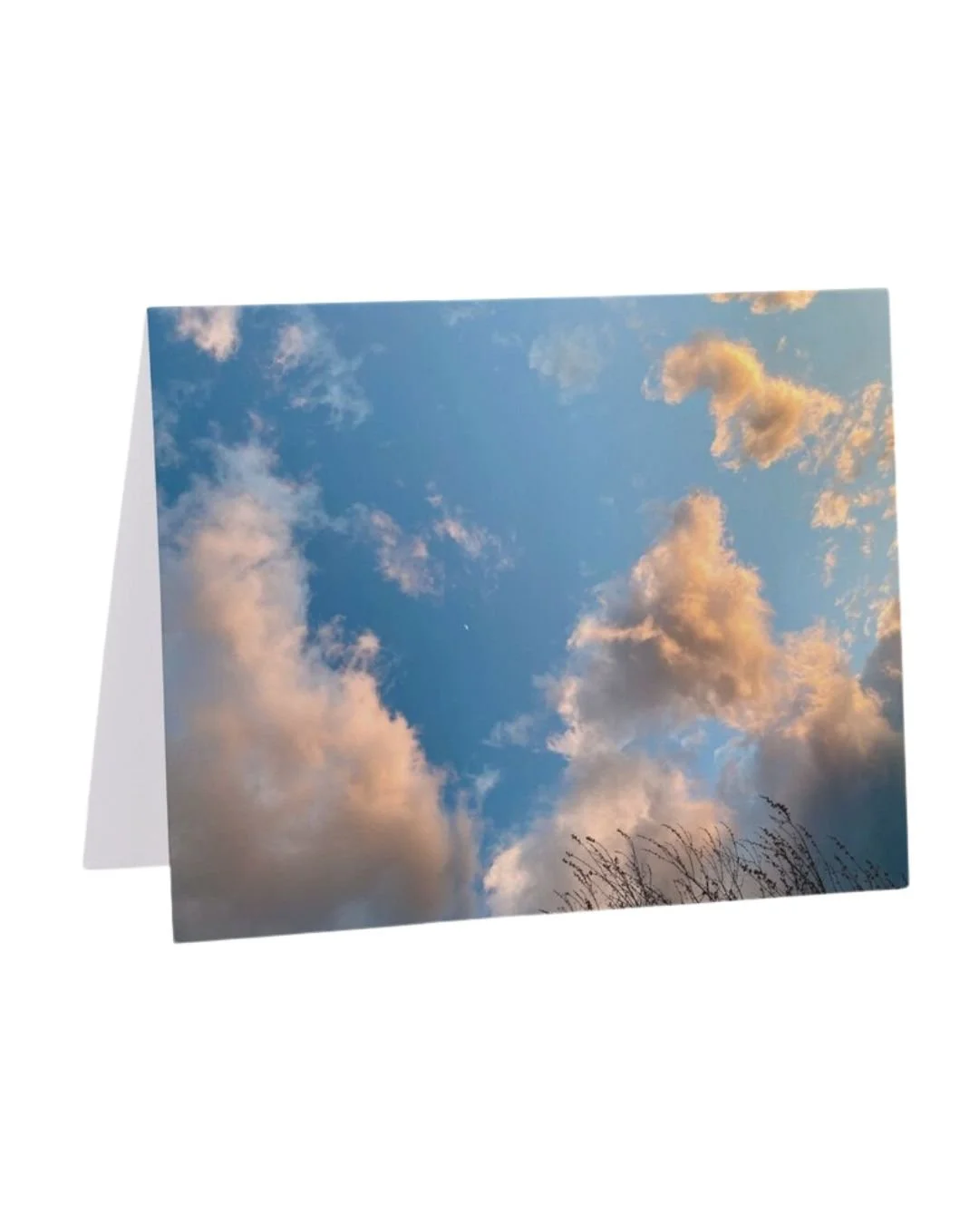 NC-SkyNine | 4.21" x 5.47" | Wholesale: $2.75; MSRP: $5.50  | Case Size: 6 per design