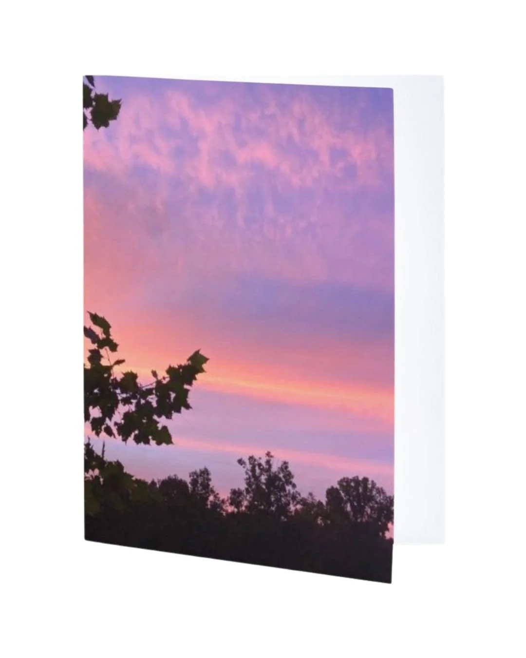  NC-SkyTwo | 4.21" x 5.47" | Wholesale: $2.75; MSRP: $5.50  | Case Size: 6 per design