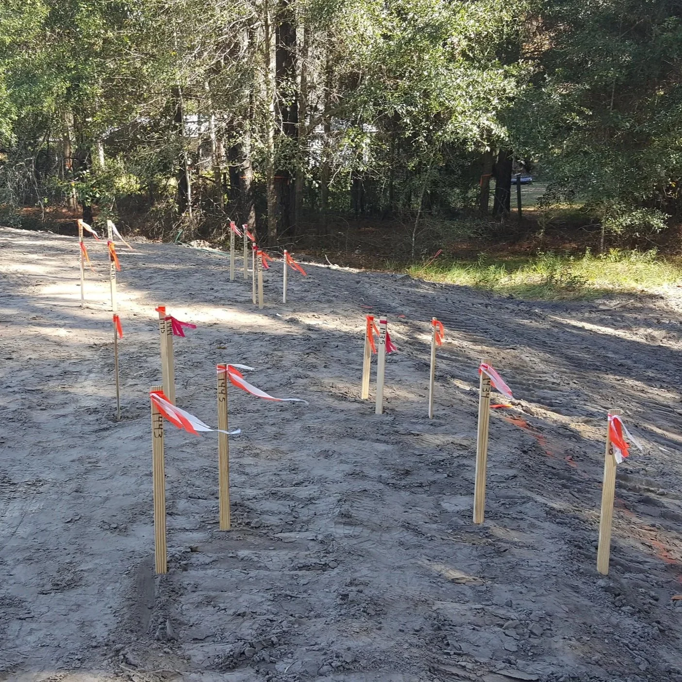 Construction survey stakes with red flagging laid out across a cleared dirt site, marking precise building and layout locations for an upcoming project.