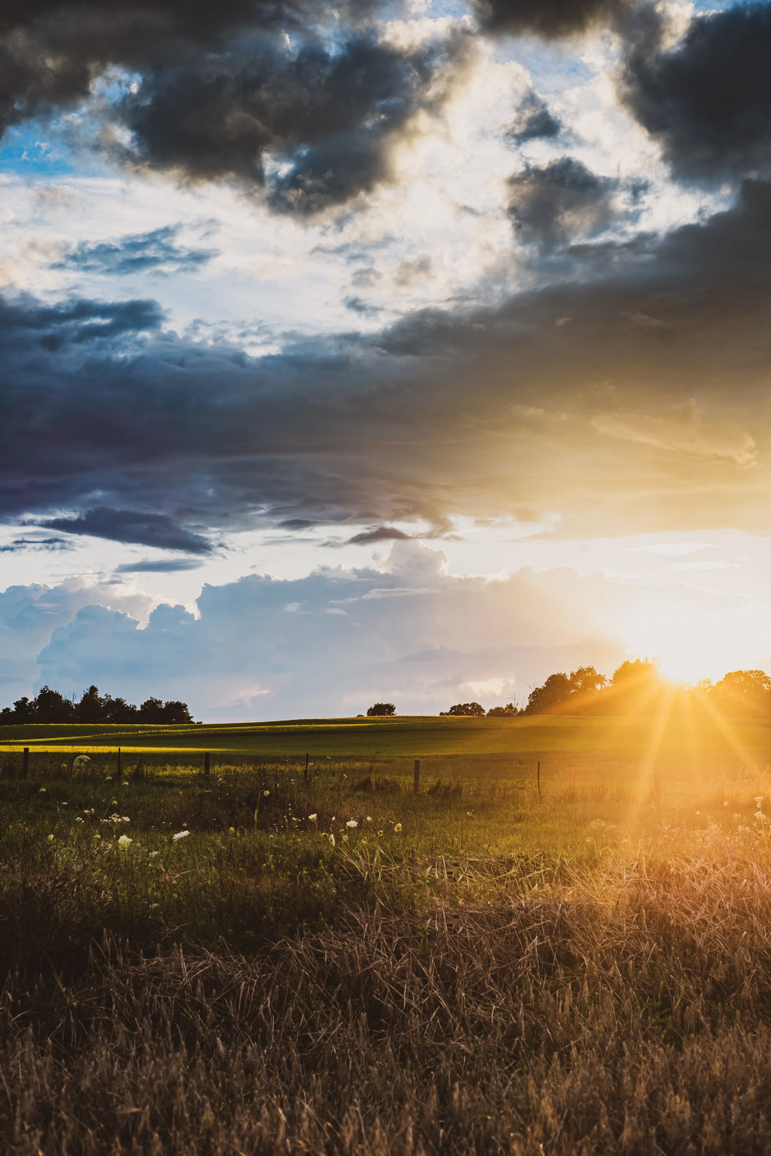Apple's Mills, West Newton (Open Edition)