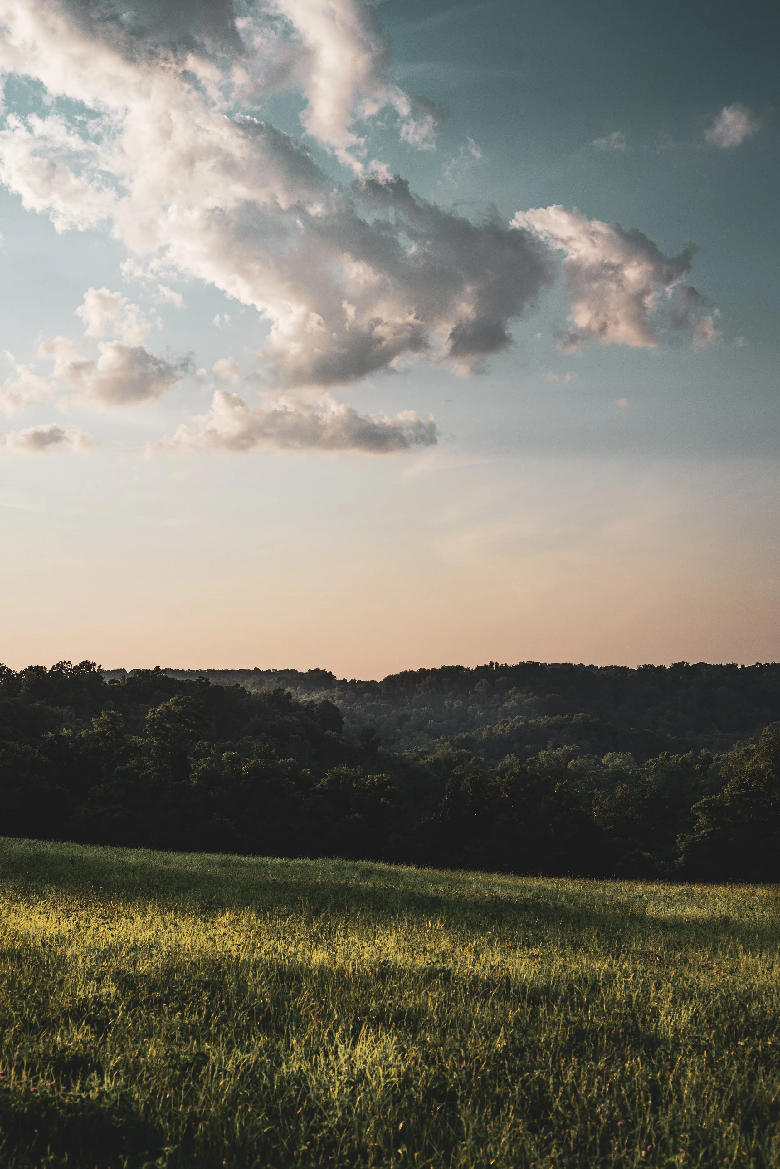 Looking Towards Herminie (Open Edition)