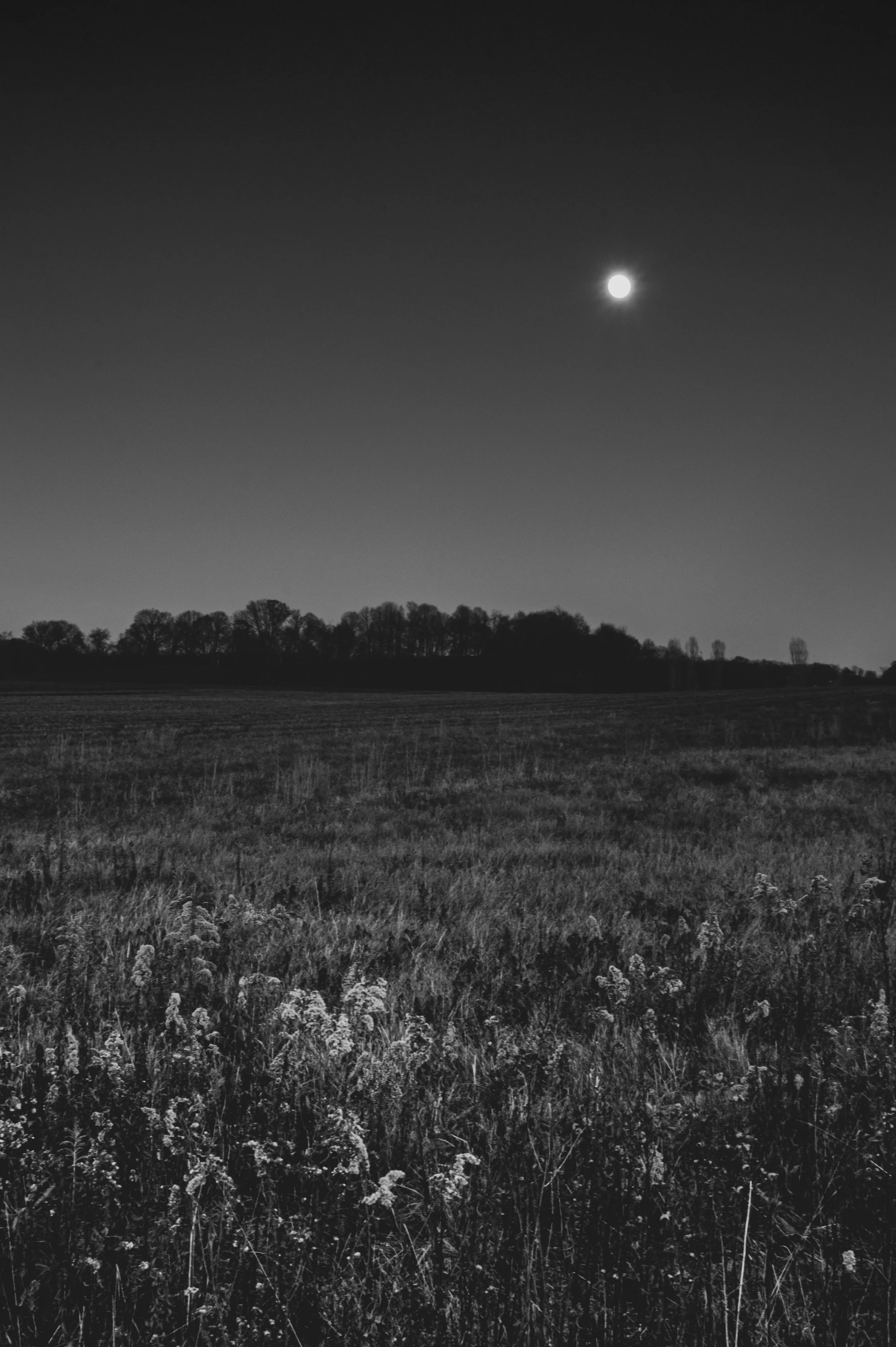 Moon Over Hutch (Limited Edition)