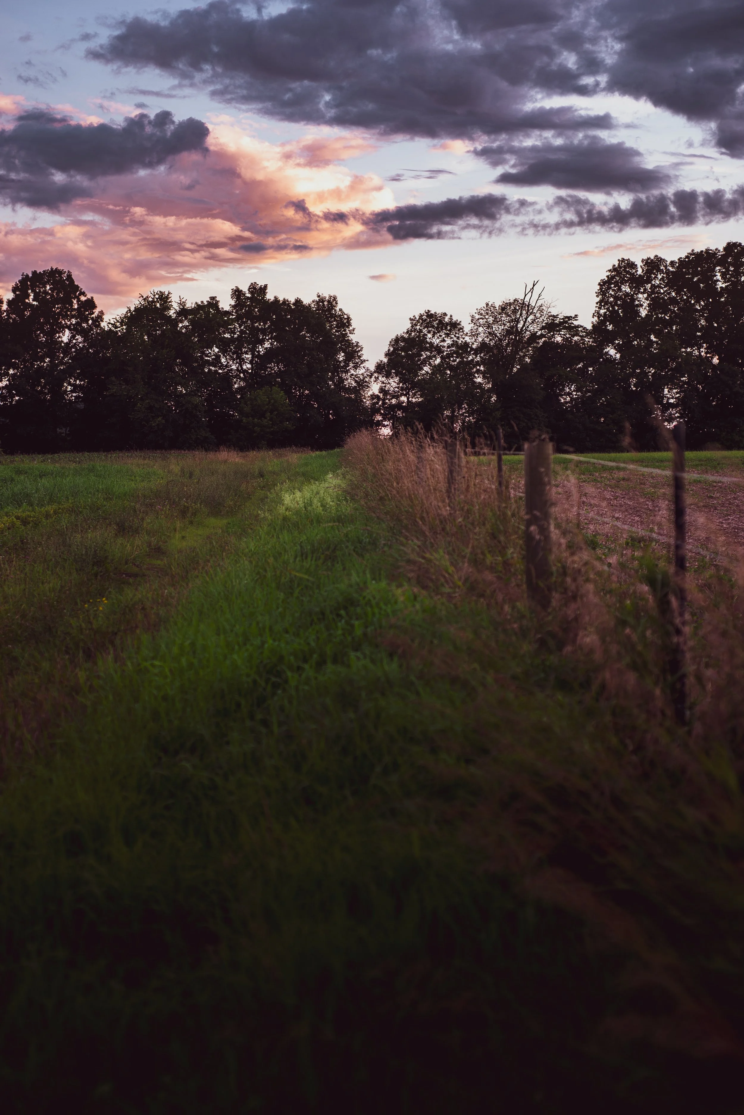Apple's Mills, West Newton (Open Edition)