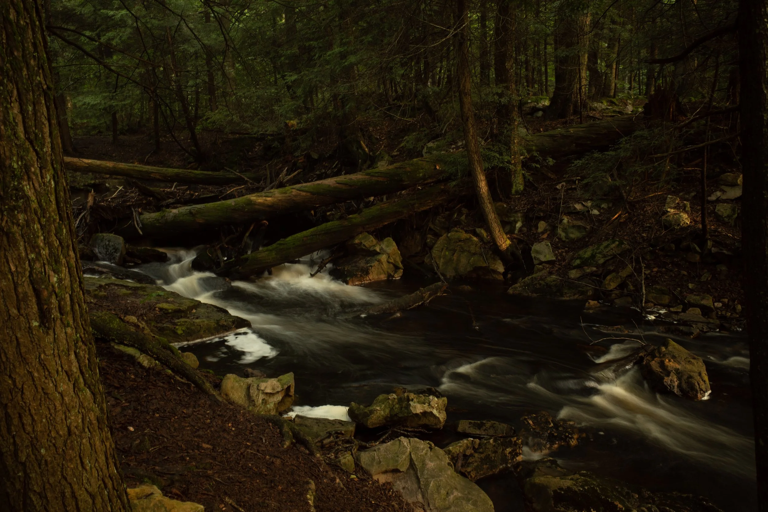 Ricketts Glen (Open Edition)
