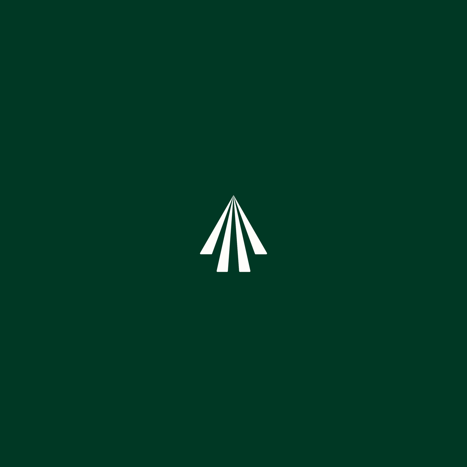 Arrowpath Advisors