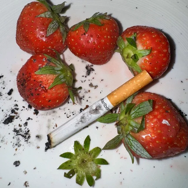 Beren Olivia - Canine