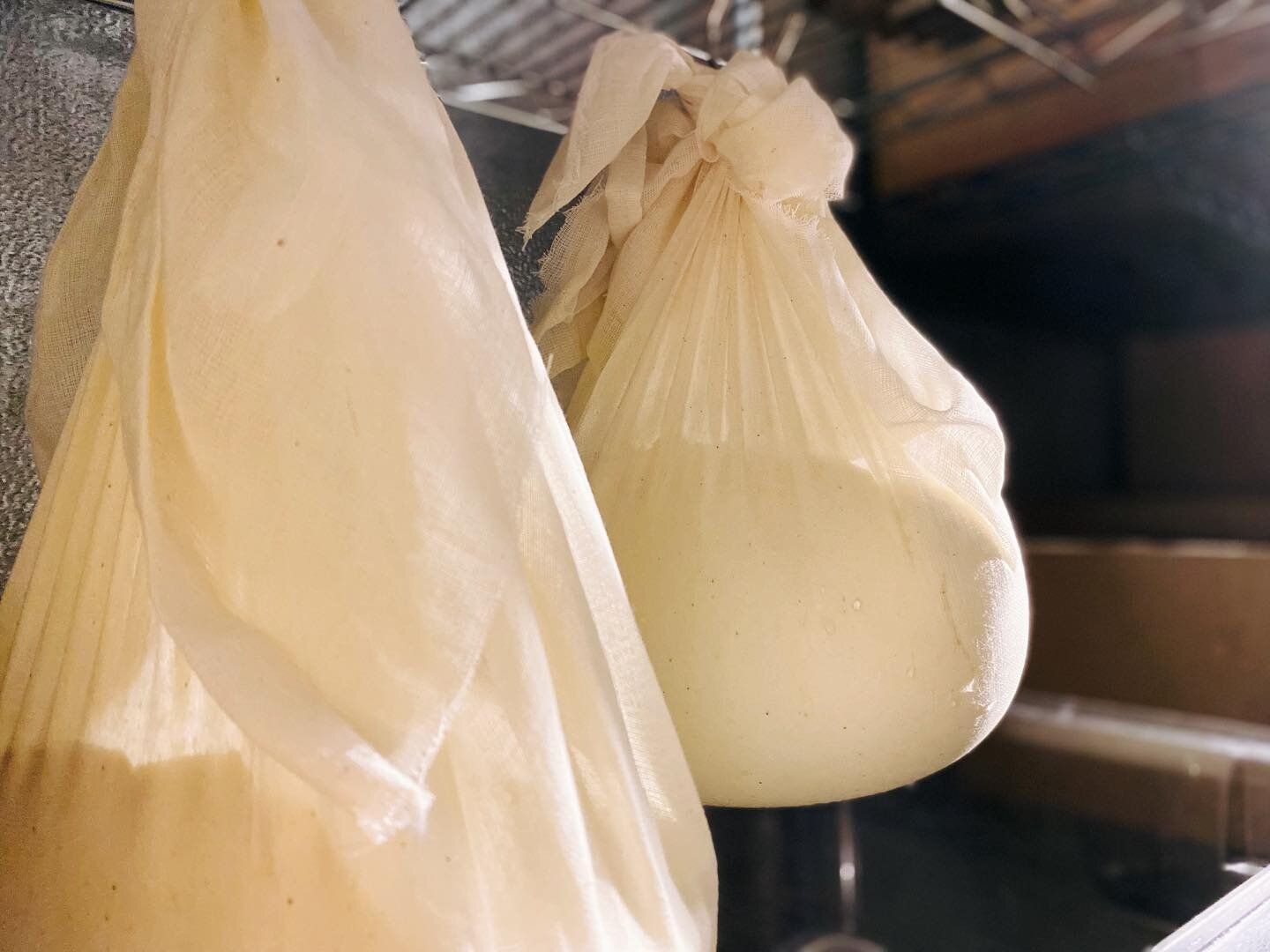 The ricotta&rsquo;s been hanging and cannoli&rsquo;s will be rolling out in an hour!!

#armarket #barre #cannoli #italian #italianfood #ricotta #dessert #foodie #buylocal #supportlocal