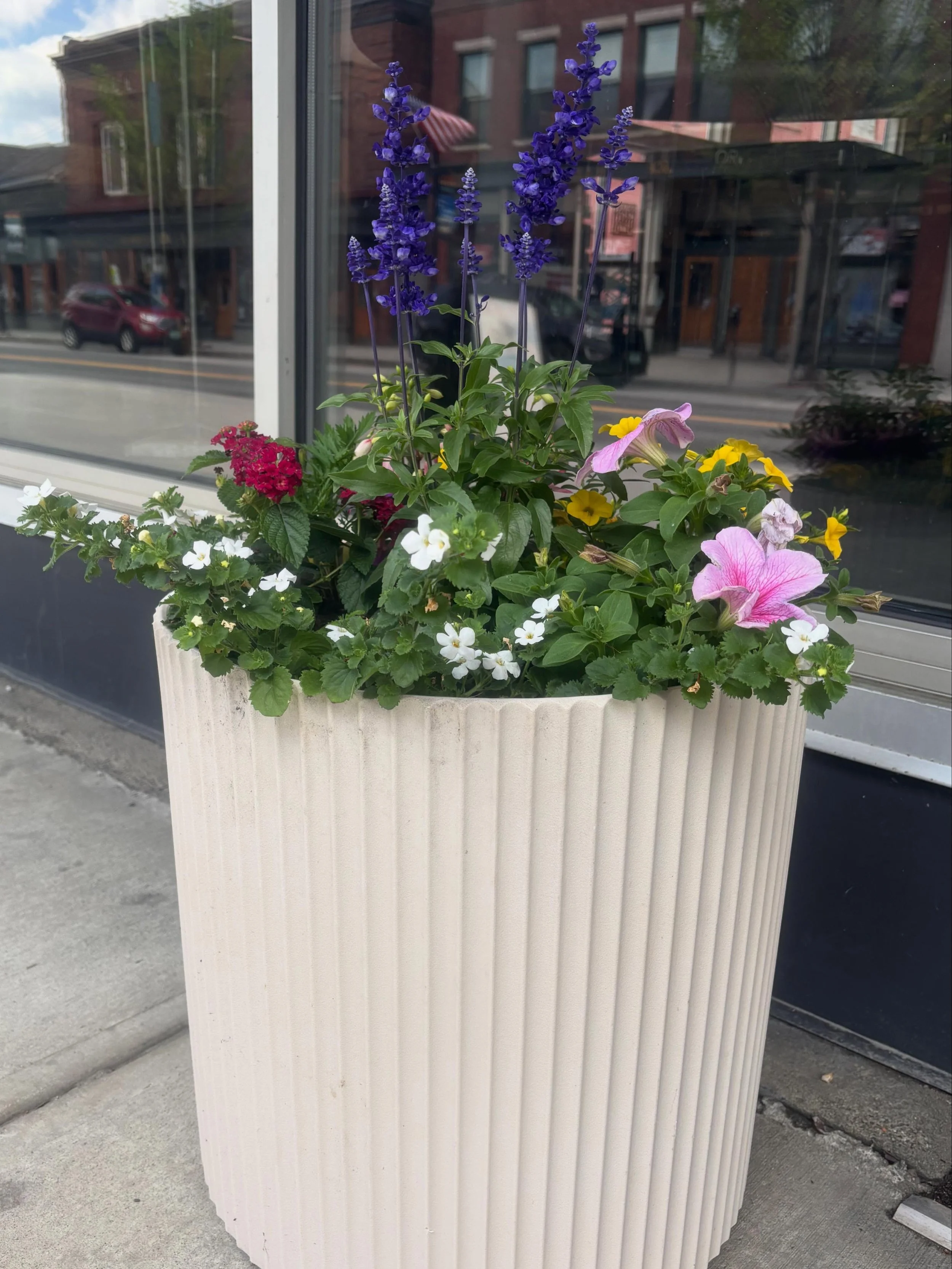 Little signs of seasonal life popping up in front of our Main St location. We know spring is here and summer is hot on her heels, but the flowers, plants, and fresh herbs are always a great reminder!
