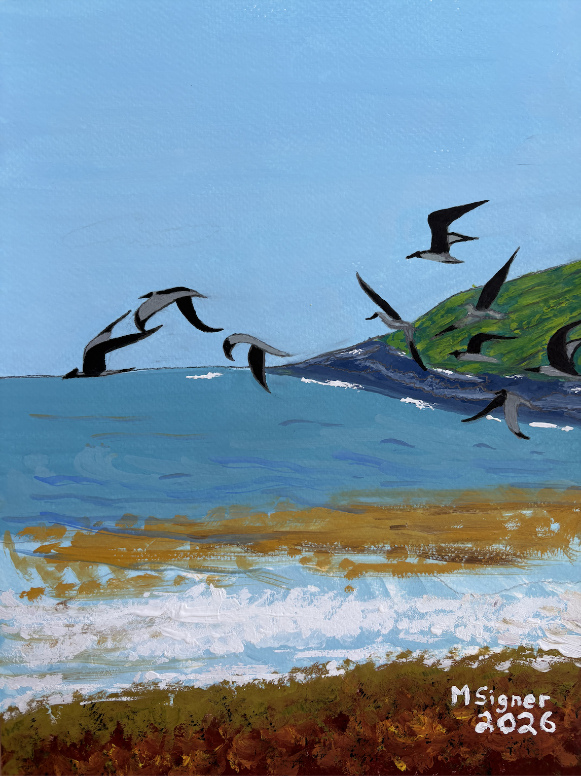 "Gulls, Algal Tide, Vieques." Gouache on paper.