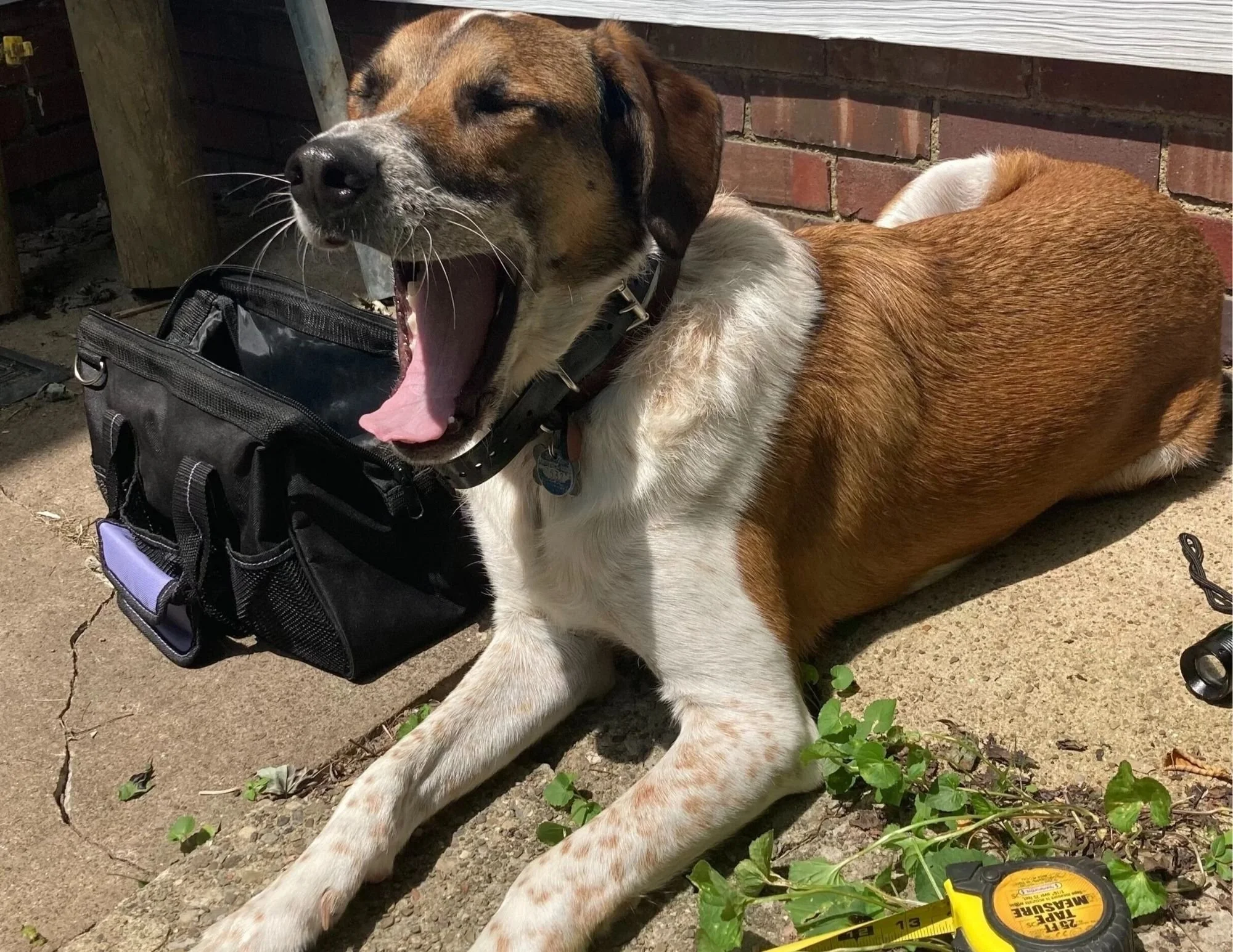 Negligent Home Inspection?