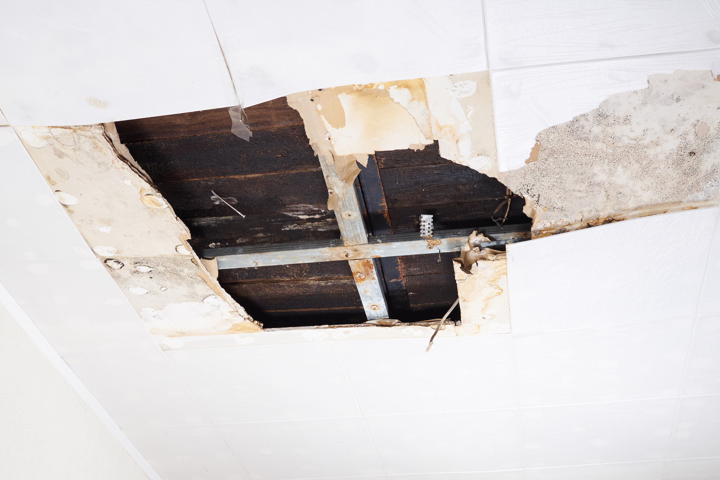 Bought a House With Water Damage. What Can I Do?