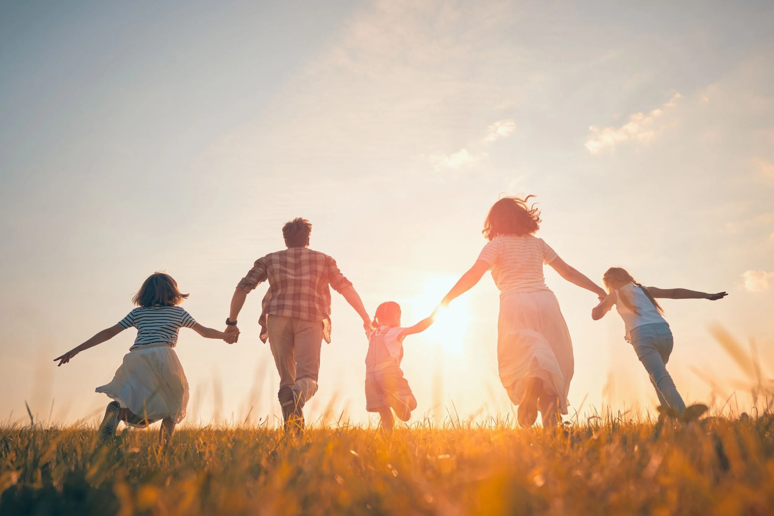 Adults and children walking hand in hand across an open field at sunset, representing a blended family and the formation of a legal stepparent‑child relationship through adoption.