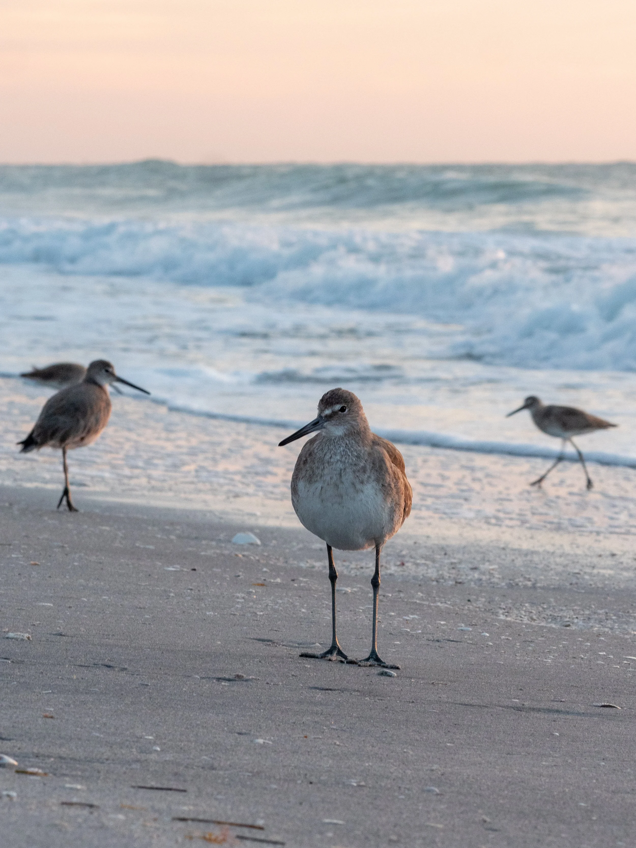 jake boca new-45.jpg