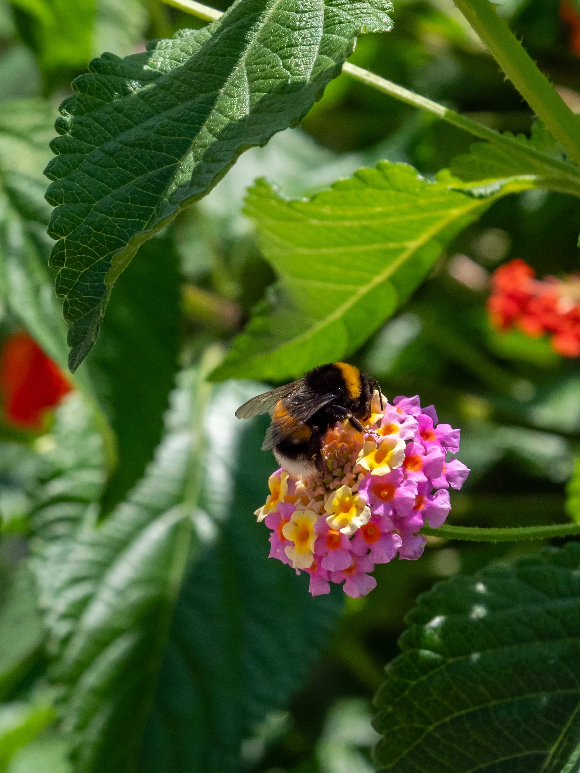 Croatia Honeymoon -353.jpg