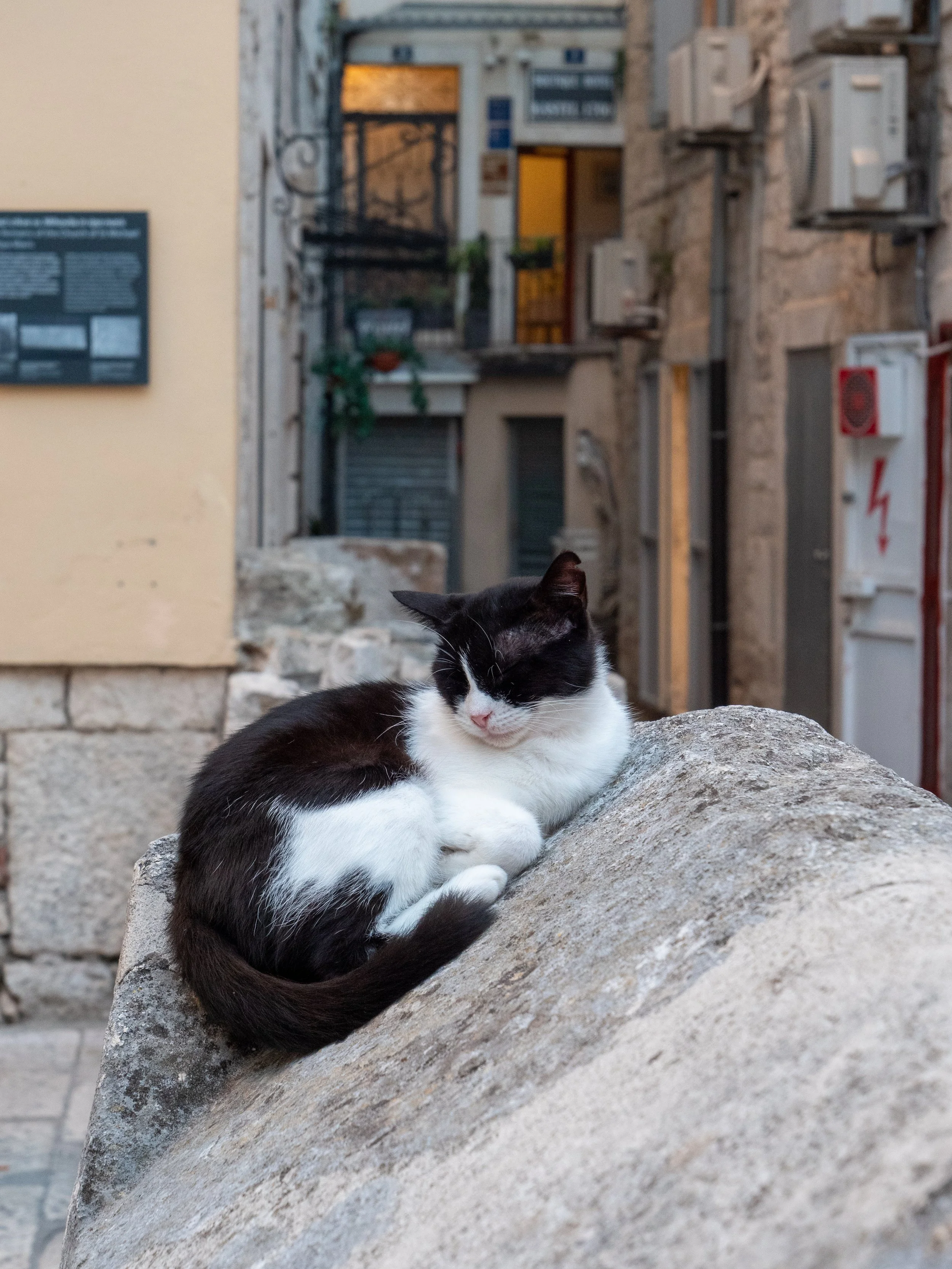 Croatia Honeymoon -344.jpg