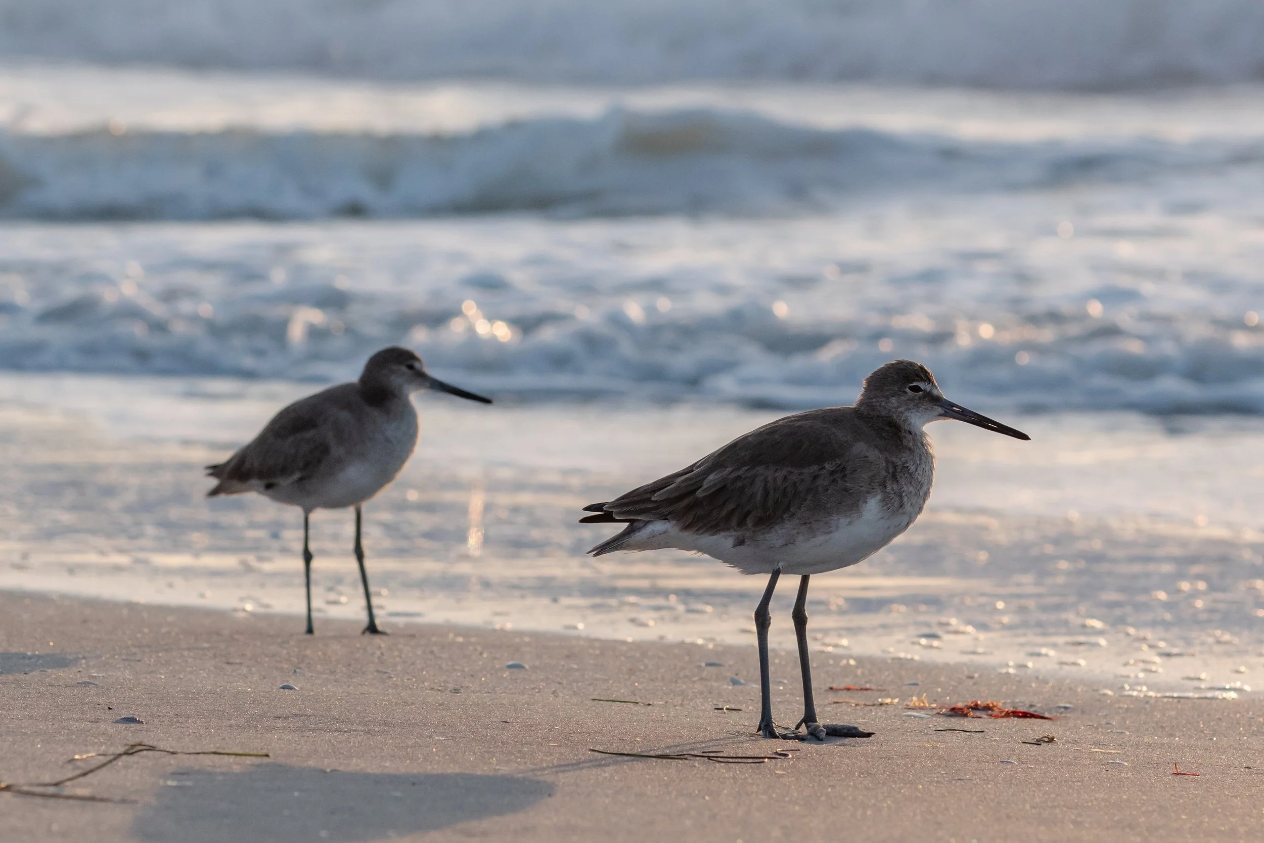 jake boca new-38.jpg