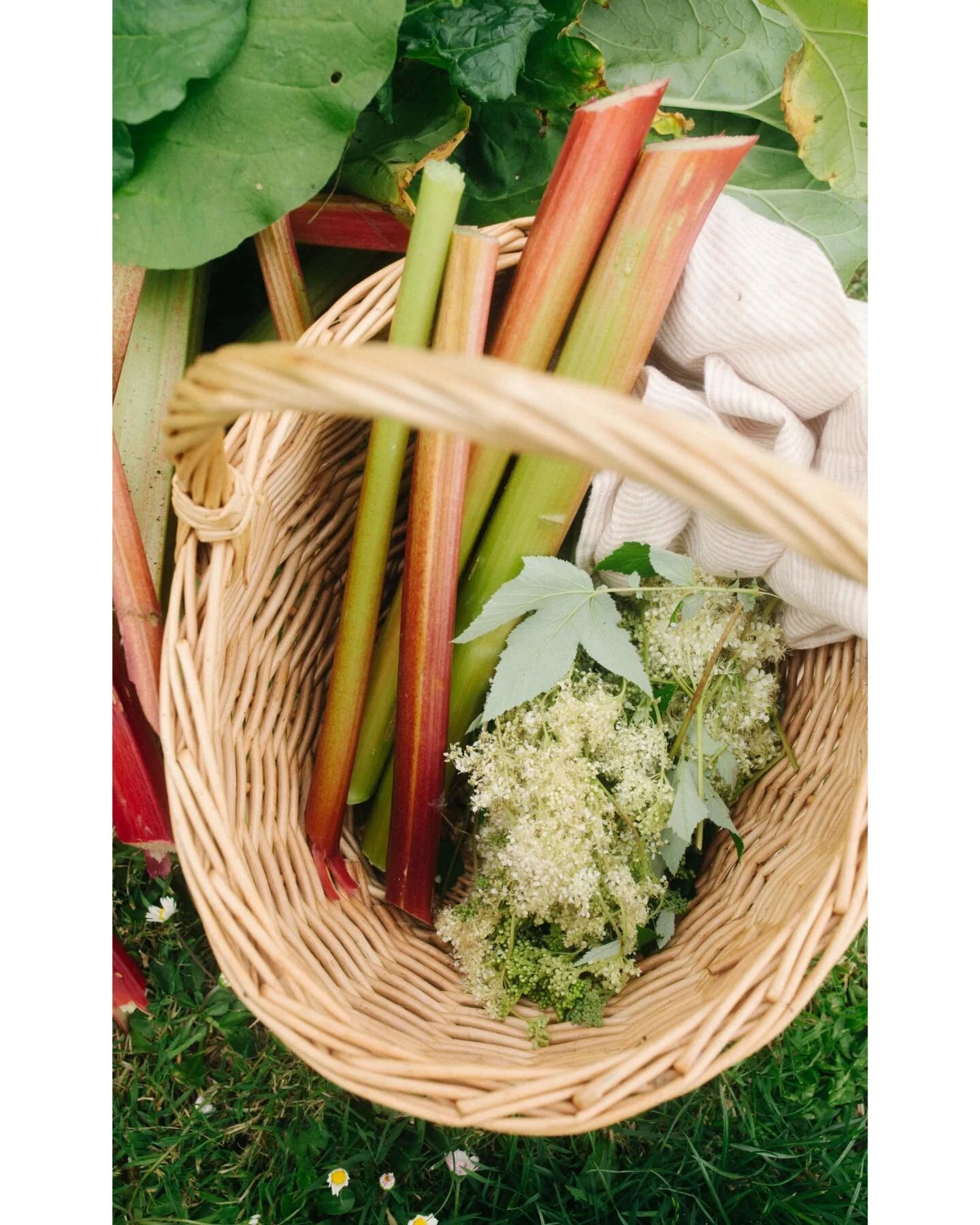 Encore quelques semaines avant de pouvoir enfin profiter des joies du printemps : rhubarbe, premi&egrave;res fraises, asperges, pois, fleurs comestibles et autres gourmandises des potagers 🍓🥬 L'hiver a &eacute;t&eacute; long (et pluvieux !) alors l