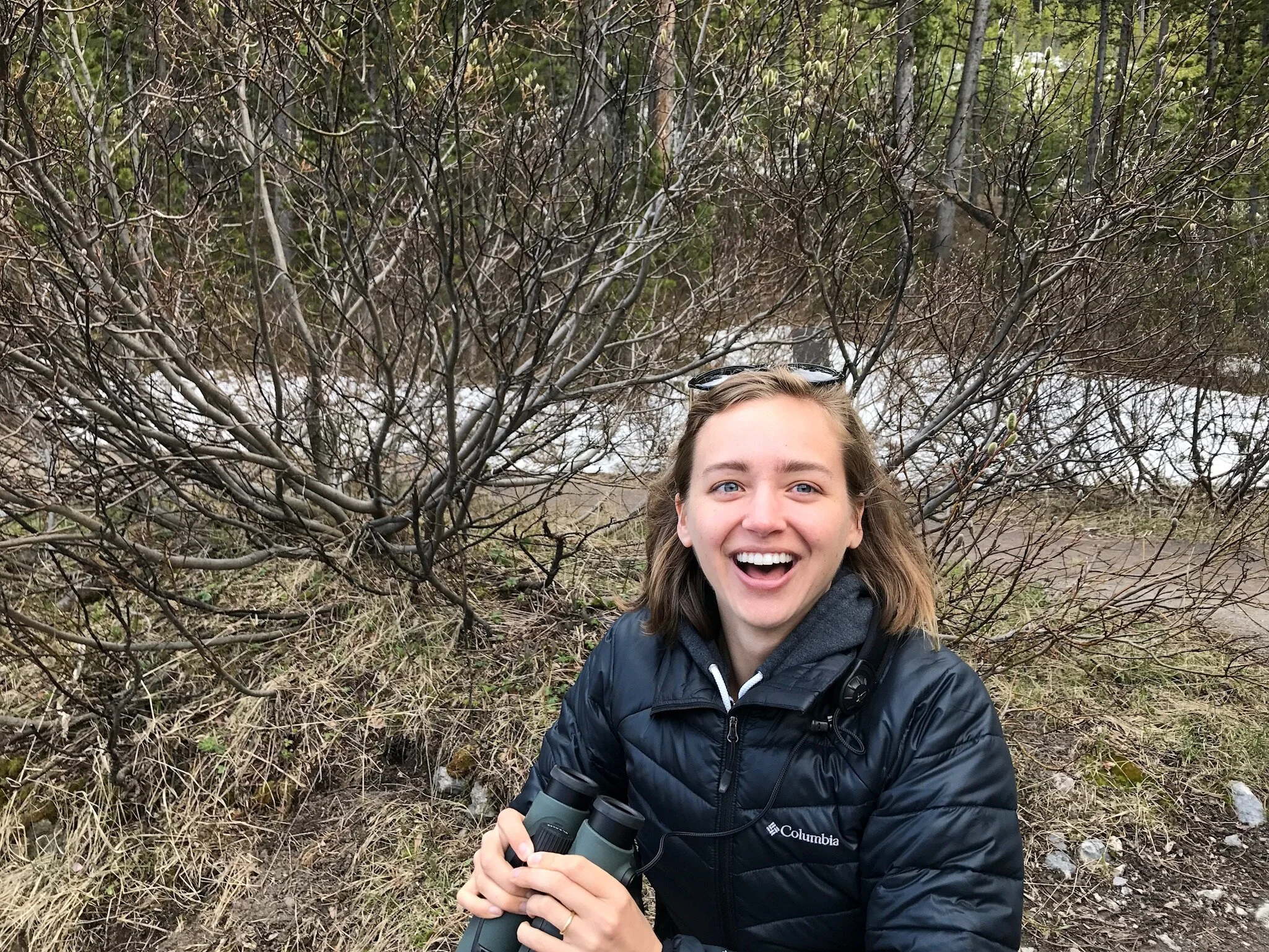 seeing Harlequin Ducks in Yellowstone
