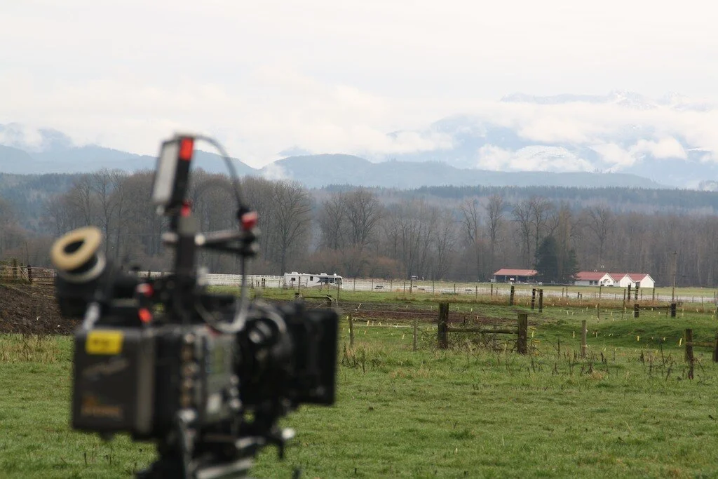 More on “Lucky Them”