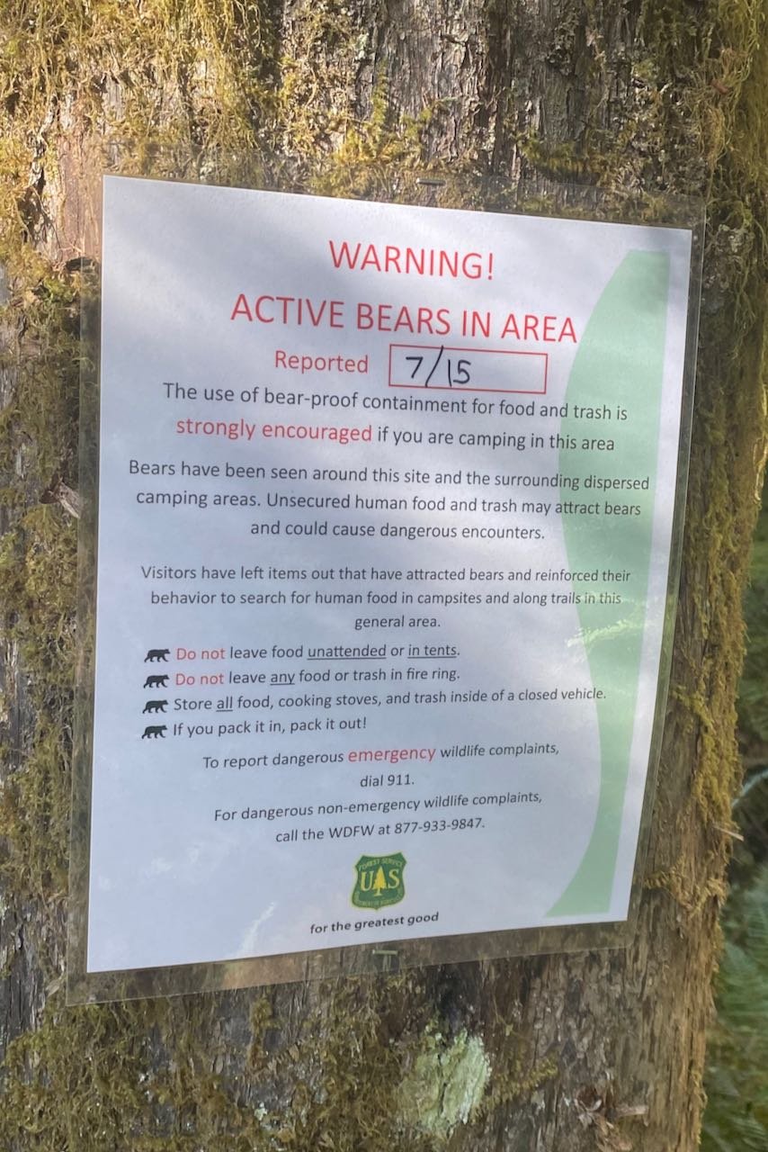 Bear Warning!.jpeg