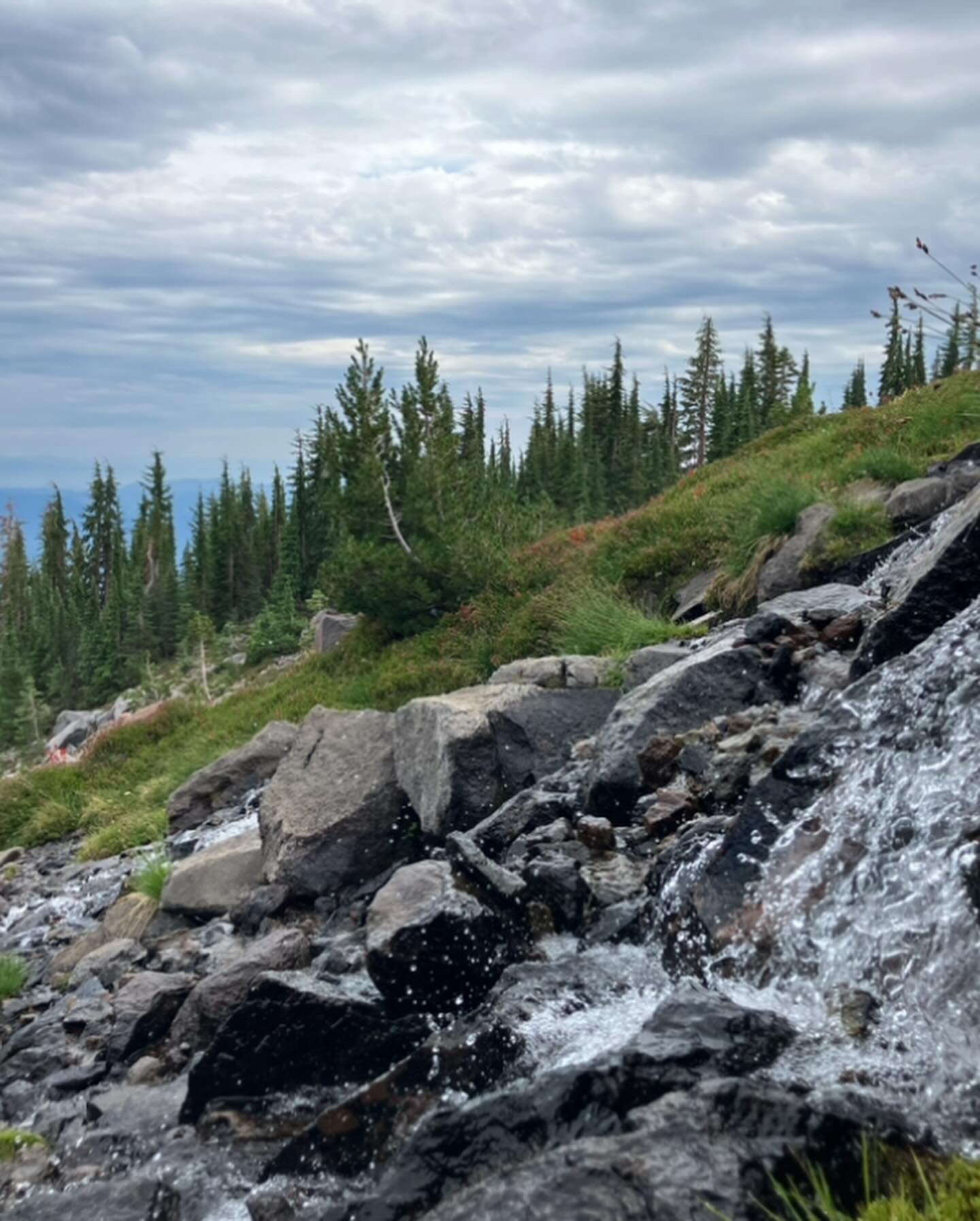 I got called back to the mountain. Always thinking I know why but the lessons waiting for me there are always a surprise. It took me years to show up but somehow I was right on time. So grateful for the clarity that the pure water left in me and for 