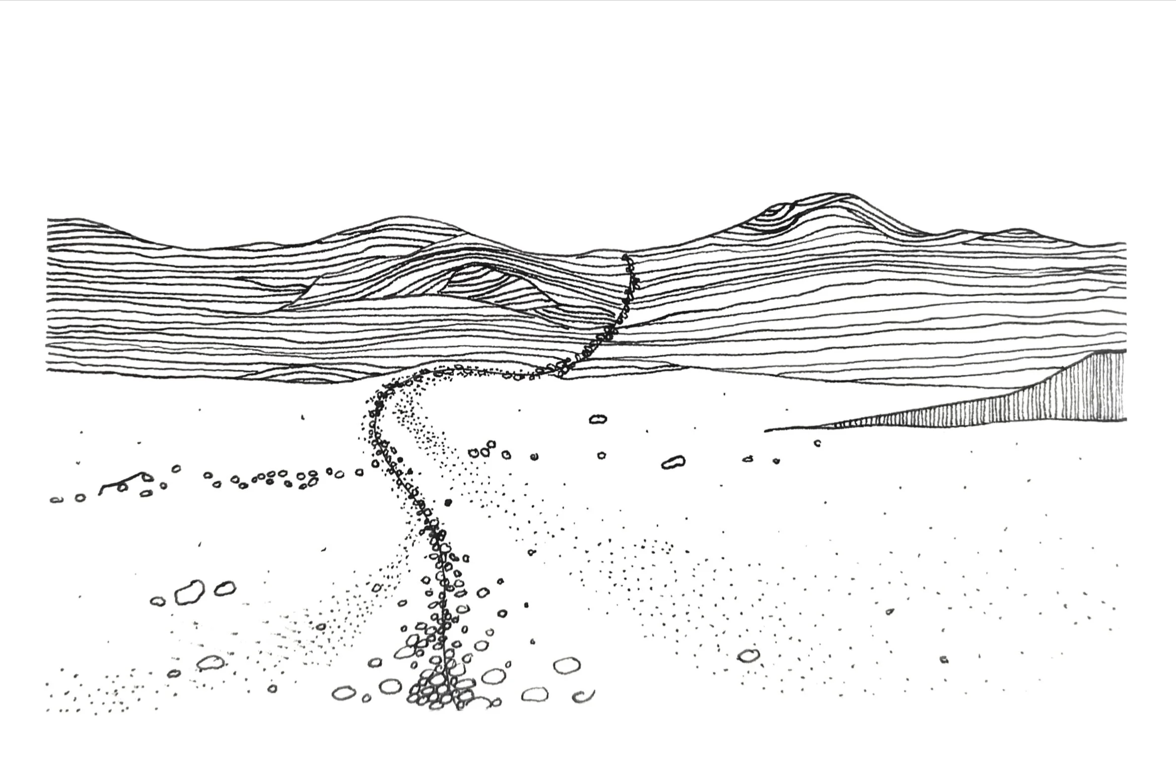 Quinda Illustration 1.jpg