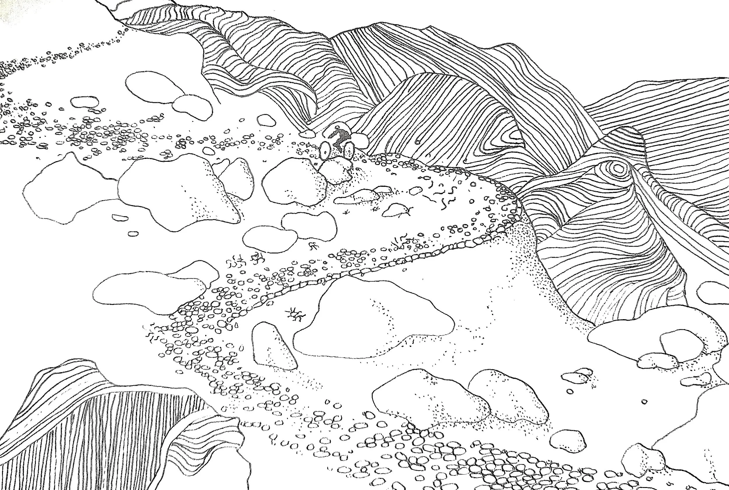 Quinda Illustration 2.jpg