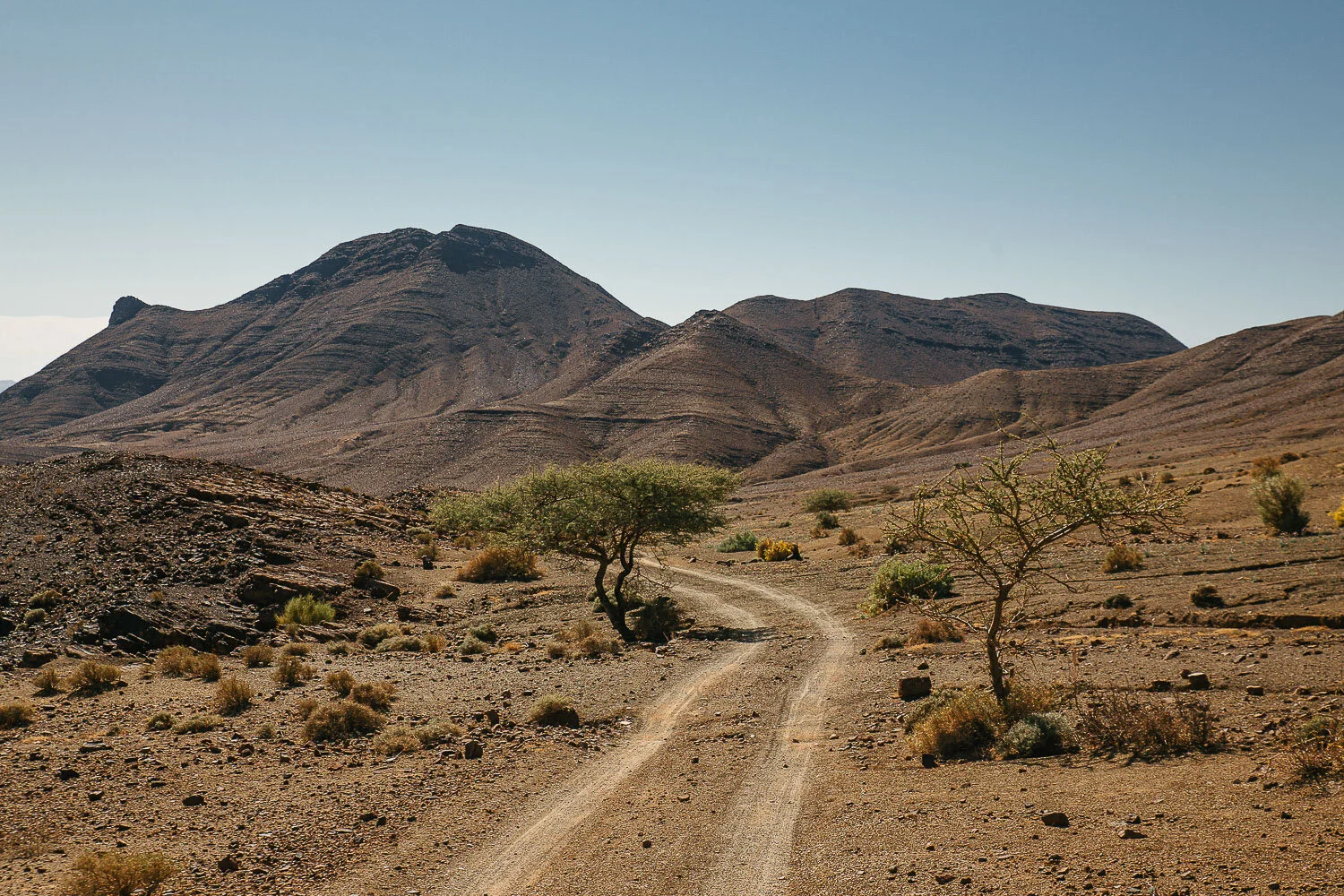 Quinda Photo- Lian.jpg