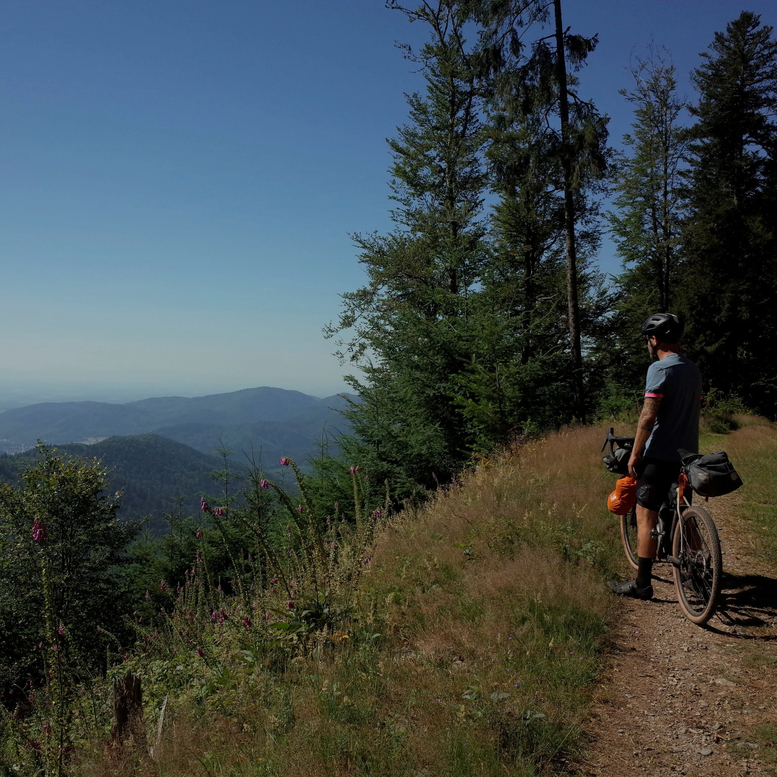 Uphill , riding the TMV