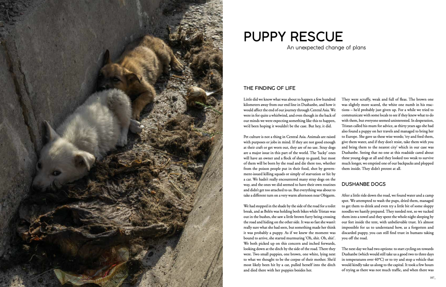 Puppyrescue (1).png