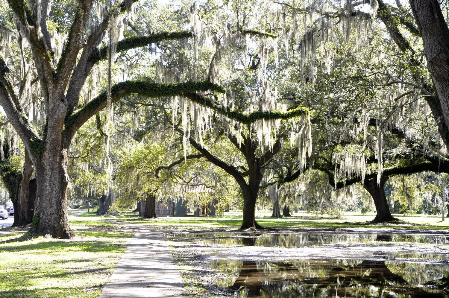 About ACRE Audubon Commercial Real Estate