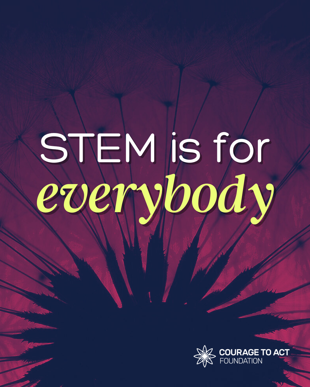 Nov 8  STEM Day - IG.png
