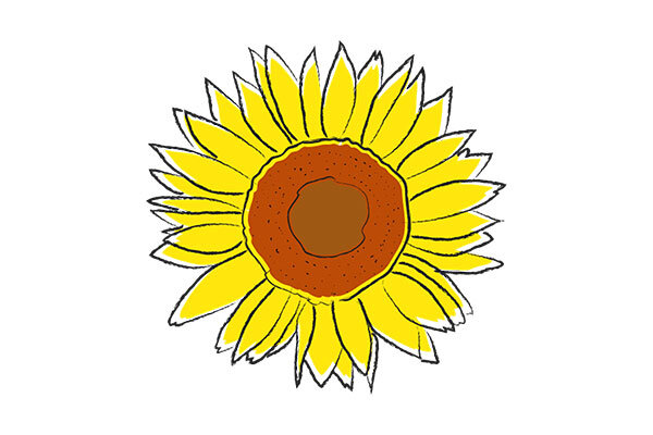 Sunflower Seed Oil (Copy)