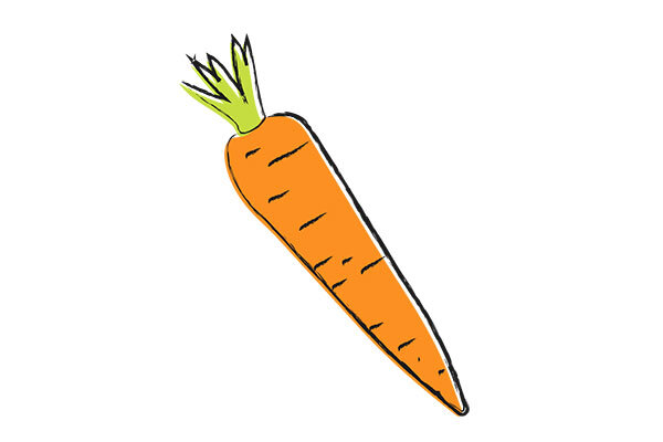 Carrot Root Extract