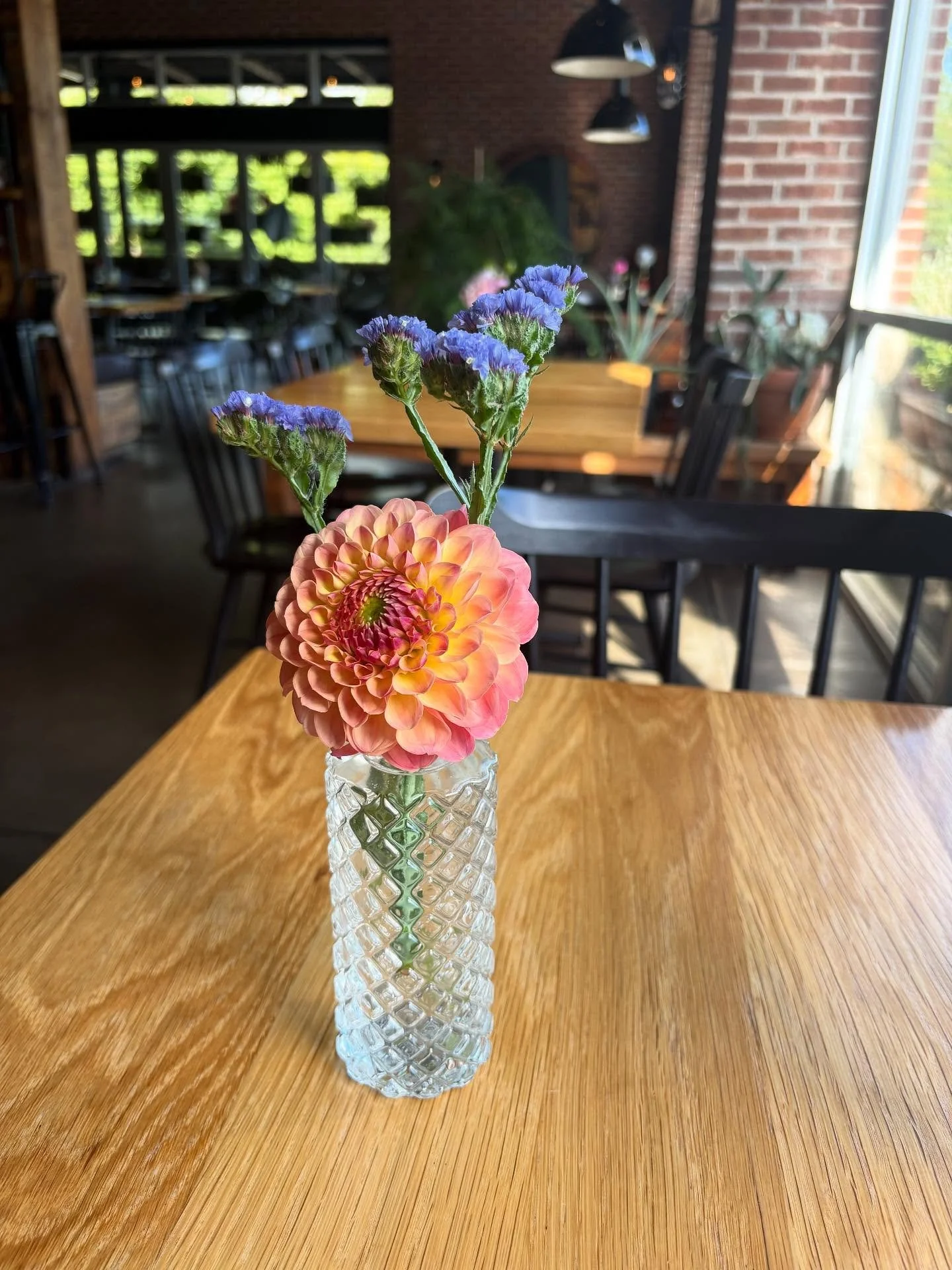 Scenes from a beautiful Sunday setting with @echelonflowers ๐ธ
#sunday #aspiritedcookery #fall