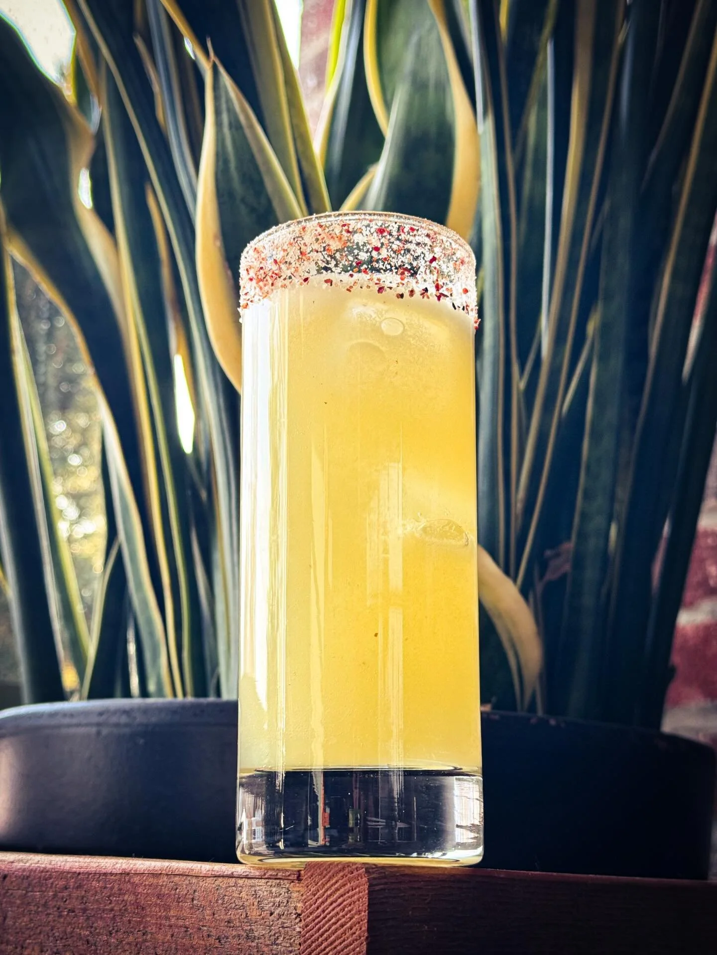 The sun is out - I should take more photos. 📸

mango, preserved lemon, soda, tajin salt

Tasty mocktail by @raeleighei available on our drink menu while we ease into spring!

#tangy #salty #fresh
