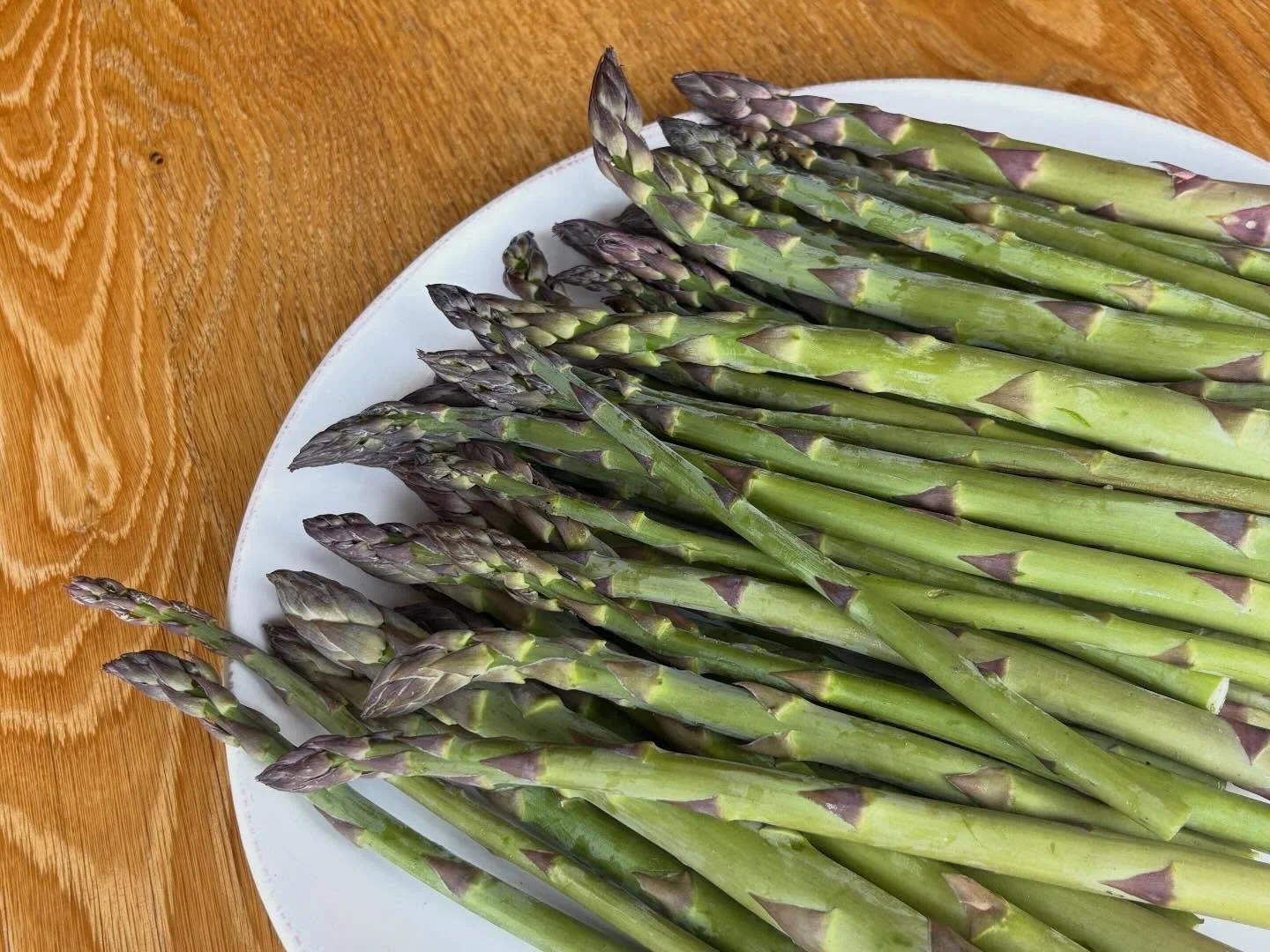 Our spring ingredients HAVE ARRIVED! New dishes on the menu featuring asparagus, ramps and fiddlehead ferns. 🌿

🌳They won&rsquo;t last long, so stop in to try them soon! 

#springtime #veggies #toshareistolove