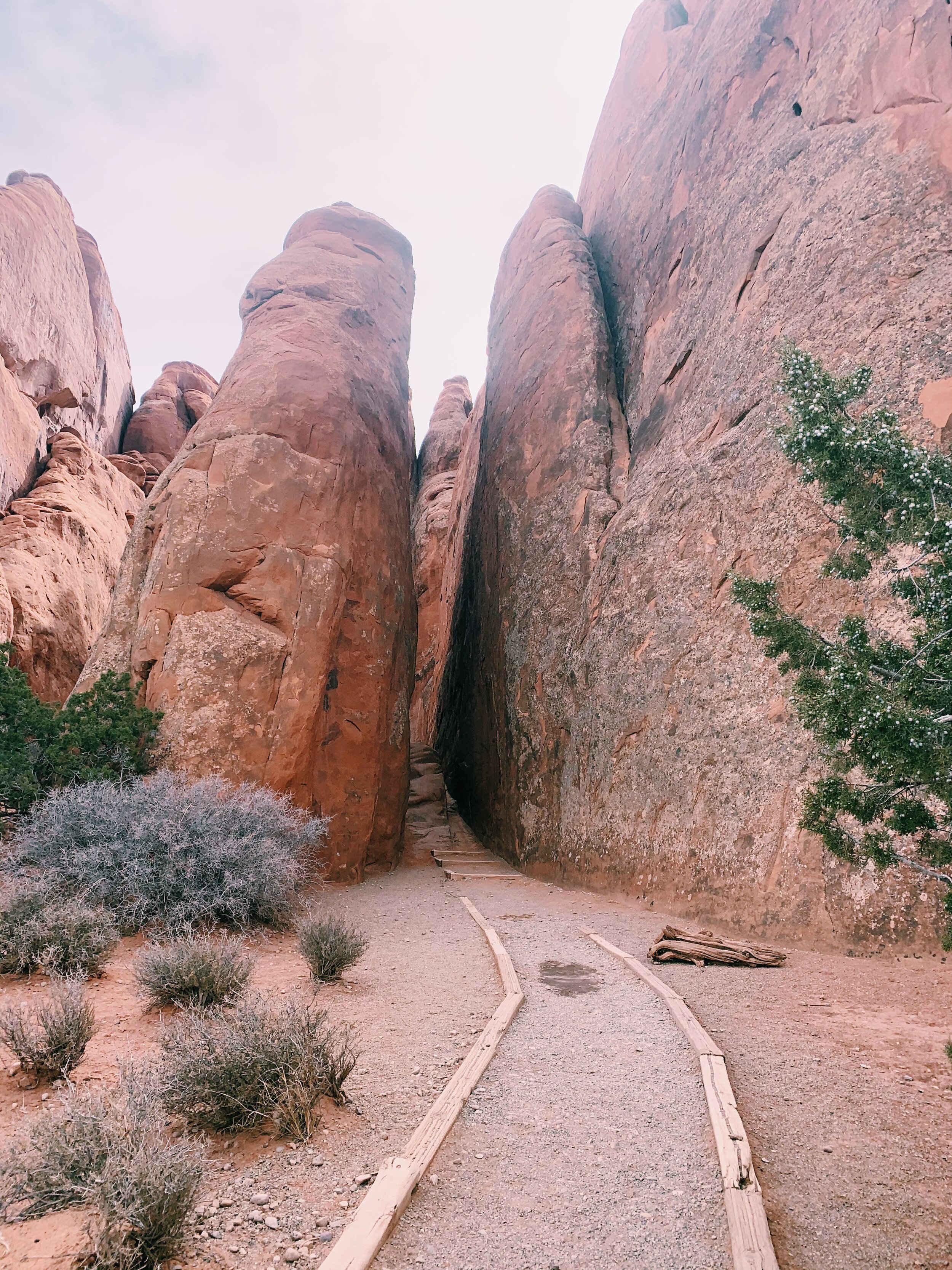 Sand Dune Arch