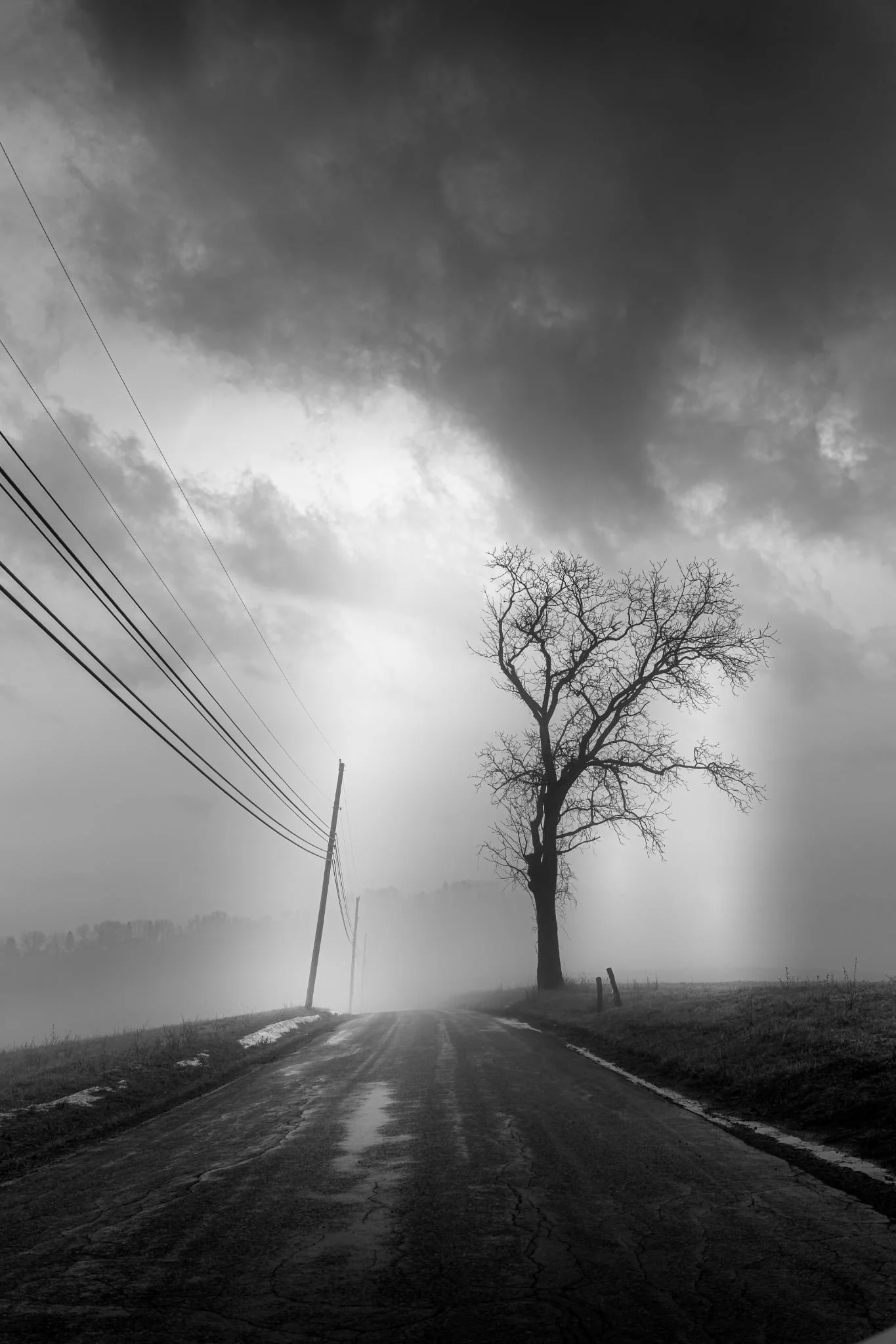 acb28731-ac1e-4ef7-86b2-678c7d1867de.jfif