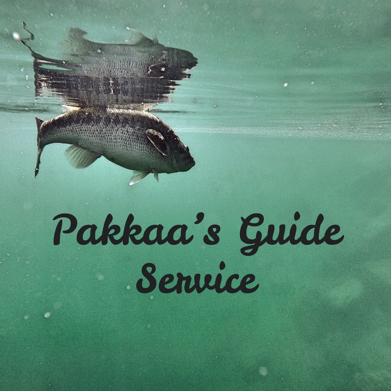 Bass Fishing Guide | Parker Wright 