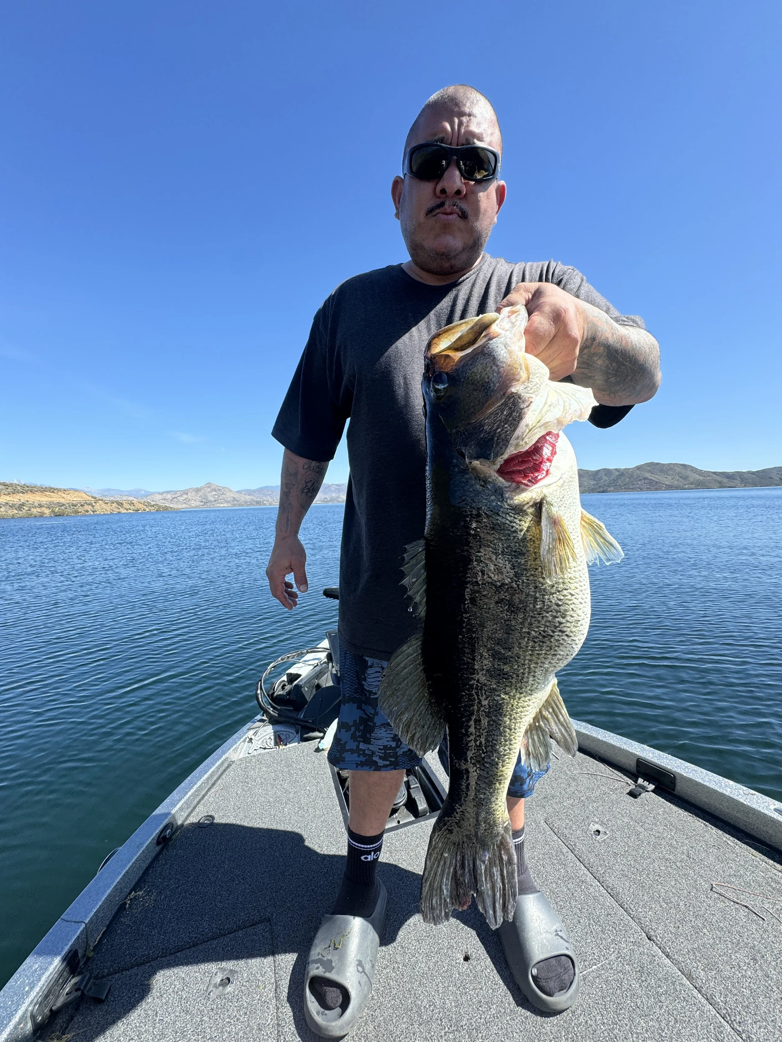Man holding a large fish on a boat in a lake, wearing sunglasses, a black t-shirt, and camouflage shorts, with mountains in the background.