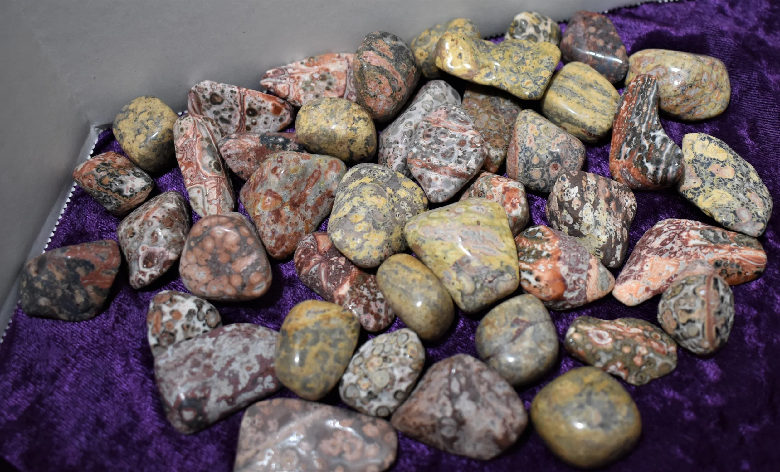 Leopard skin jasper zodiac - Horoscopeaz.com