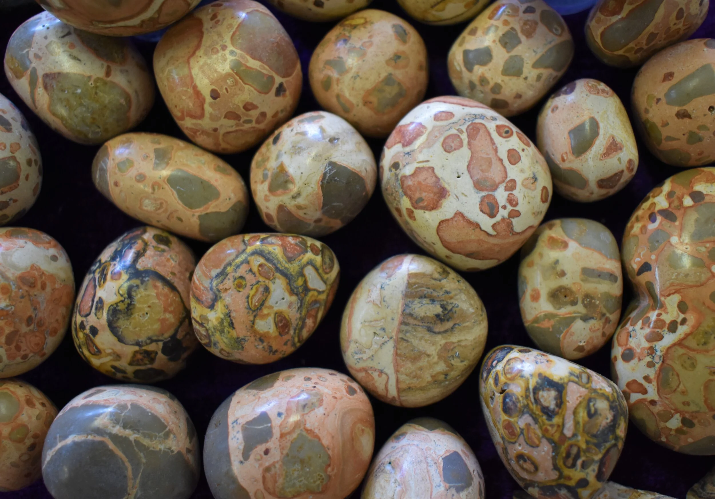 Leopardite_Jasper_t.JPG