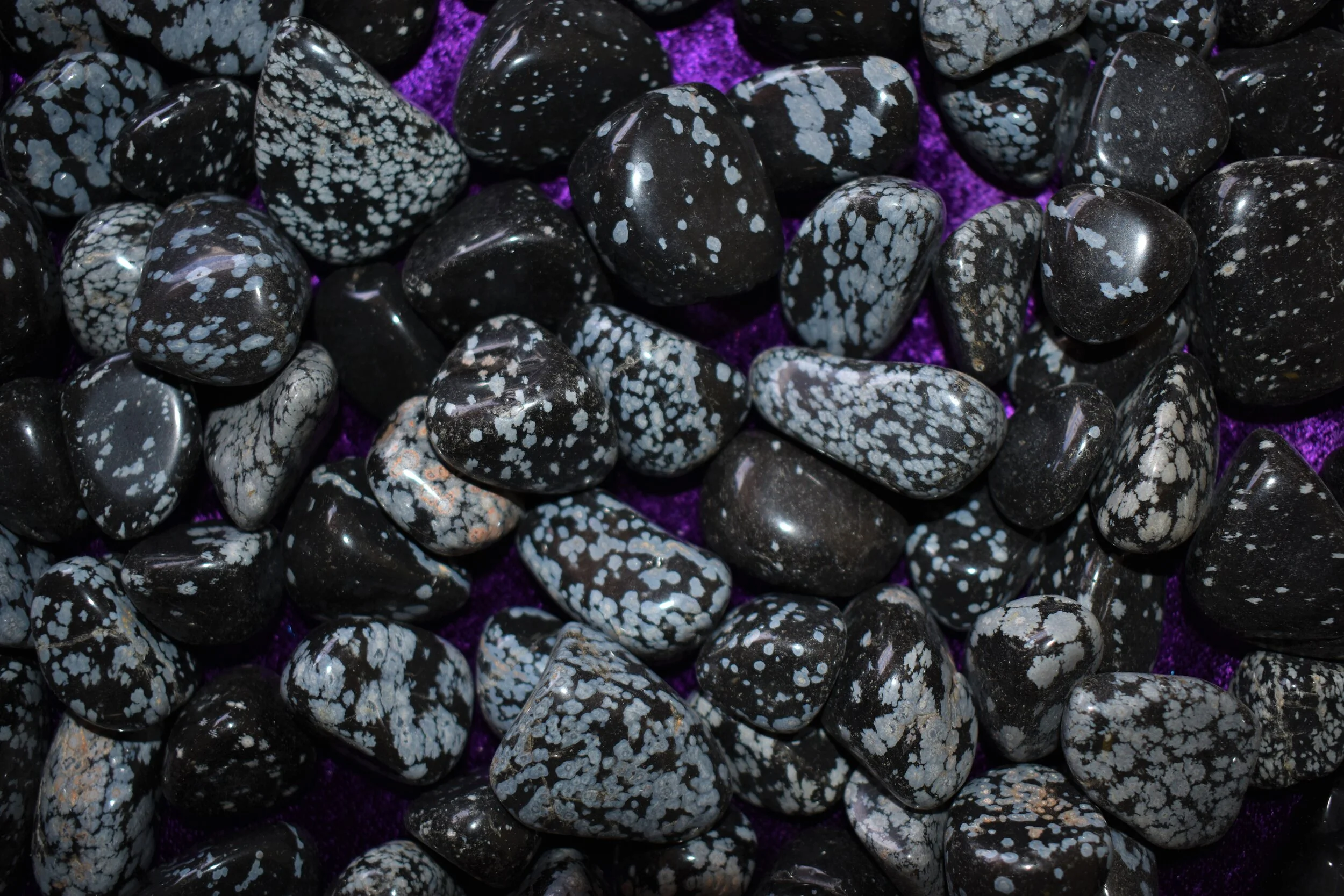 Snowflake_Obsidian_t.JPG