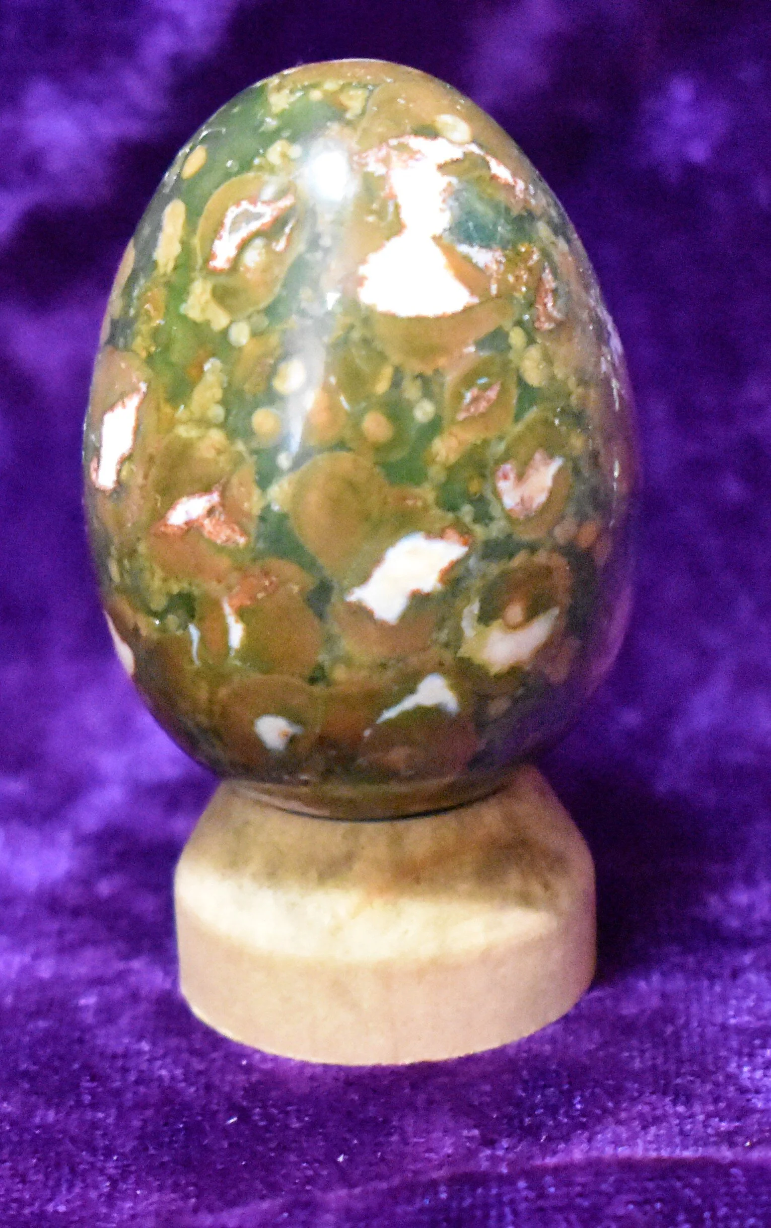 rainforest_jasper_egg.JPG