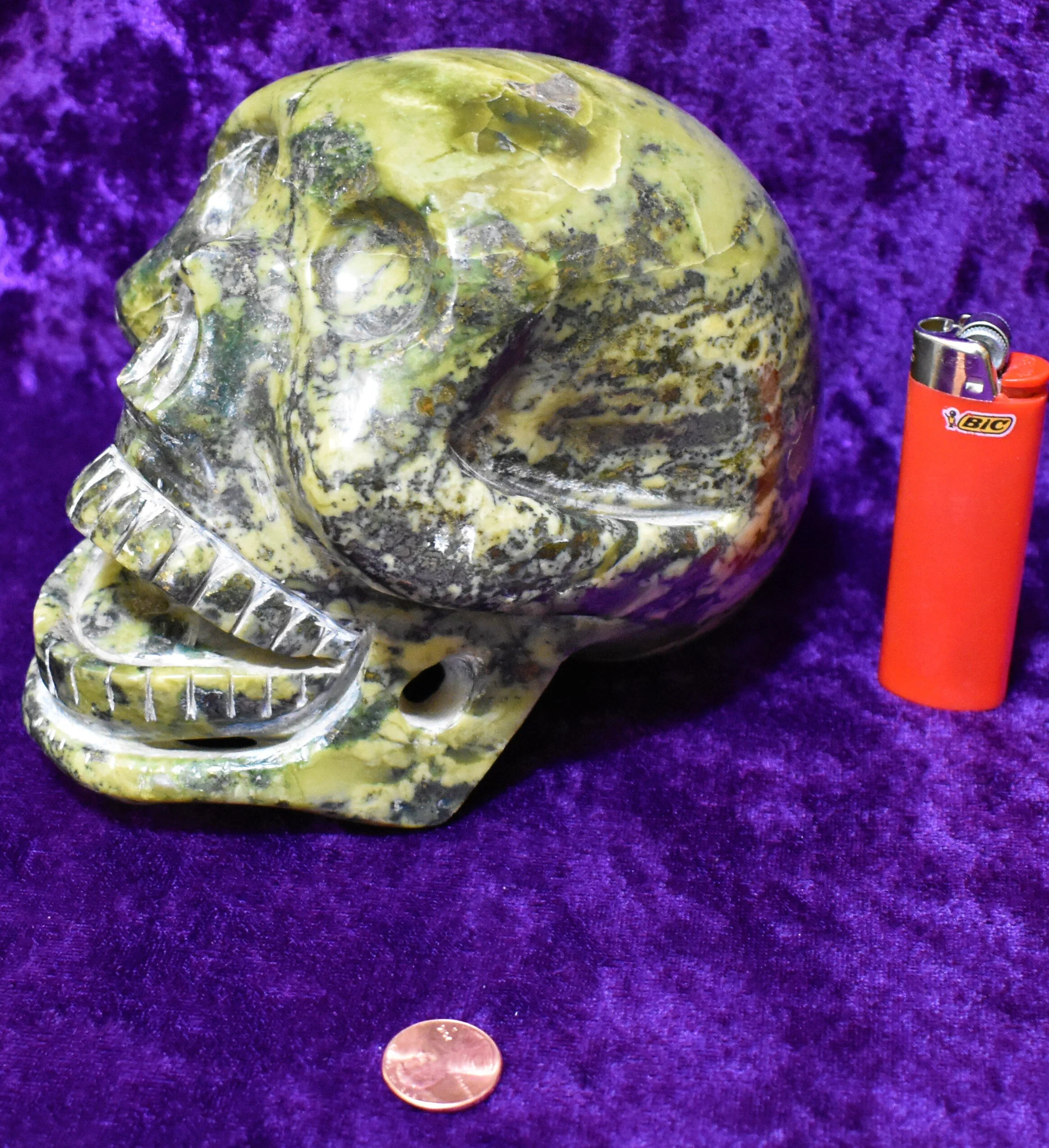 serpentine_skull_lgsd.JPG